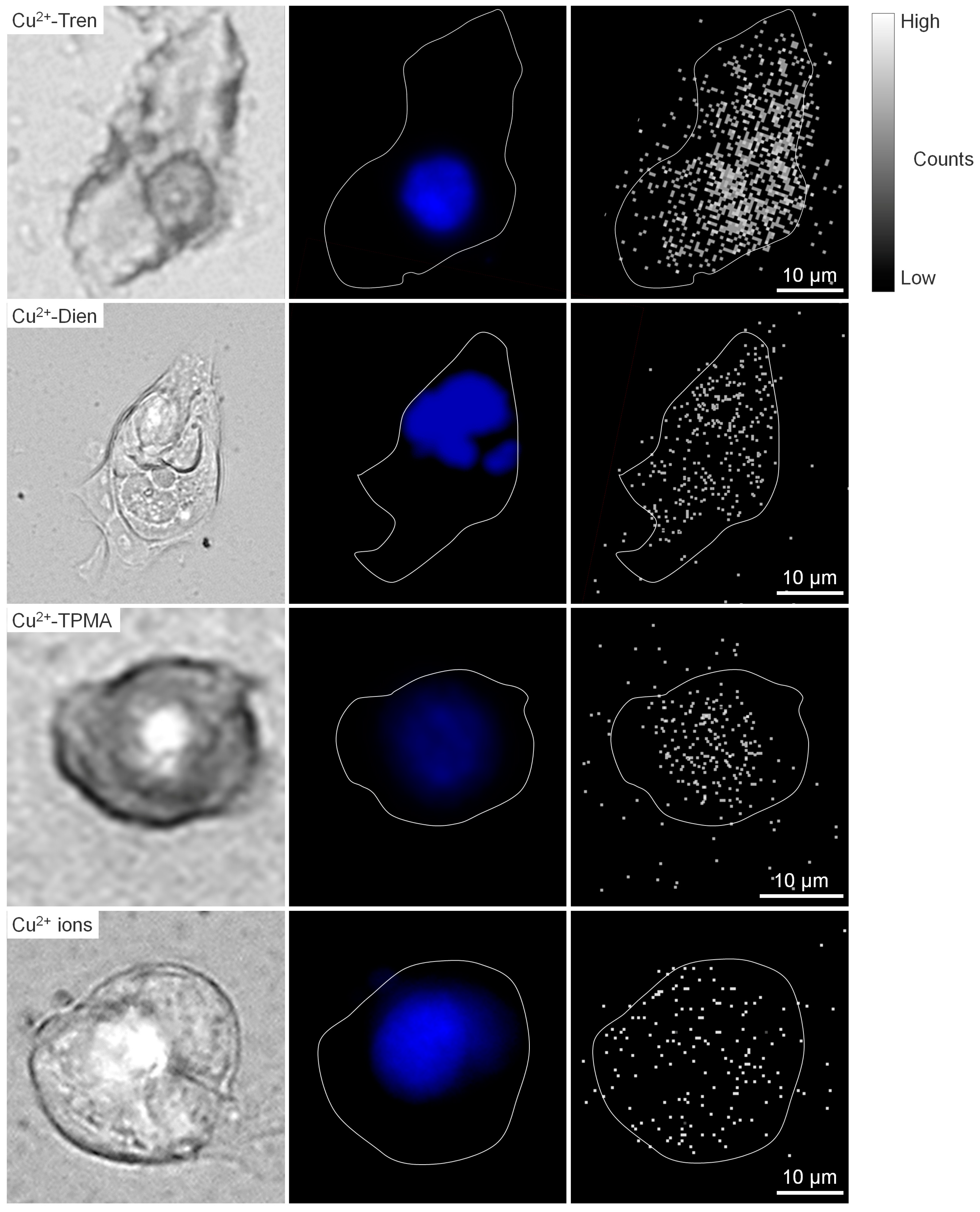 Preprints 107769 g005