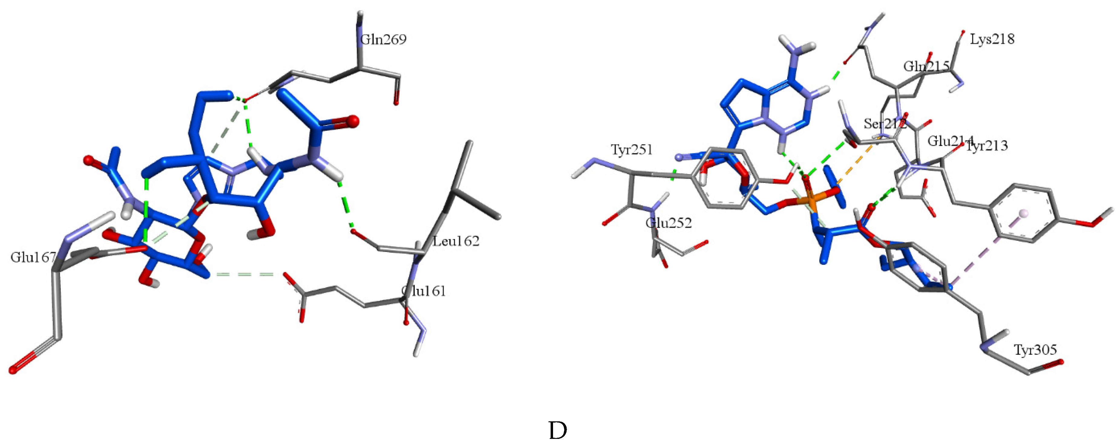 Preprints 98091 g003b