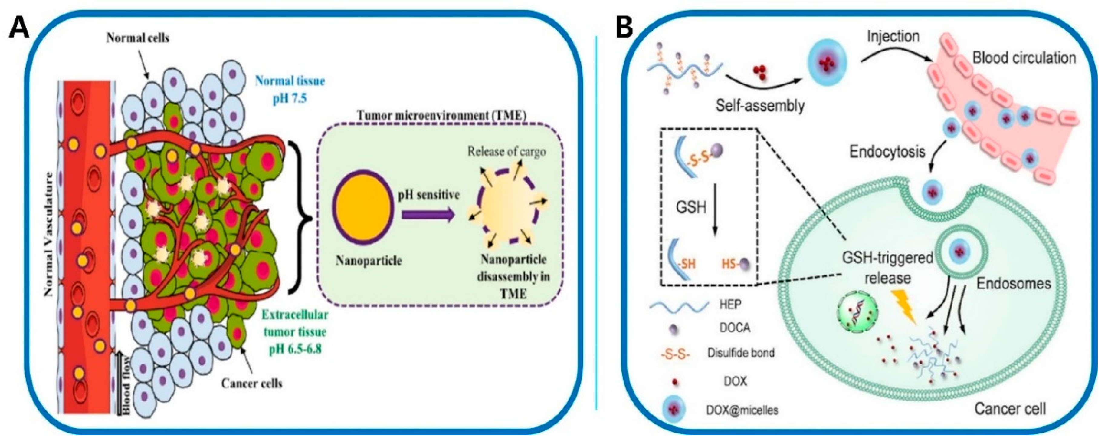 Preprints 92016 g005