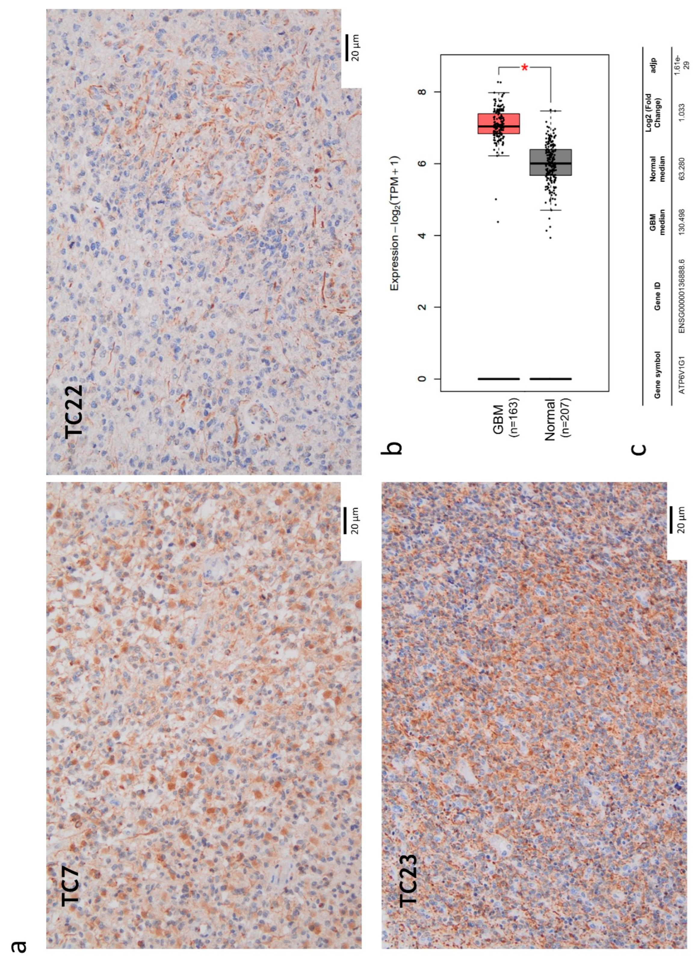 Preprints 97924 g002