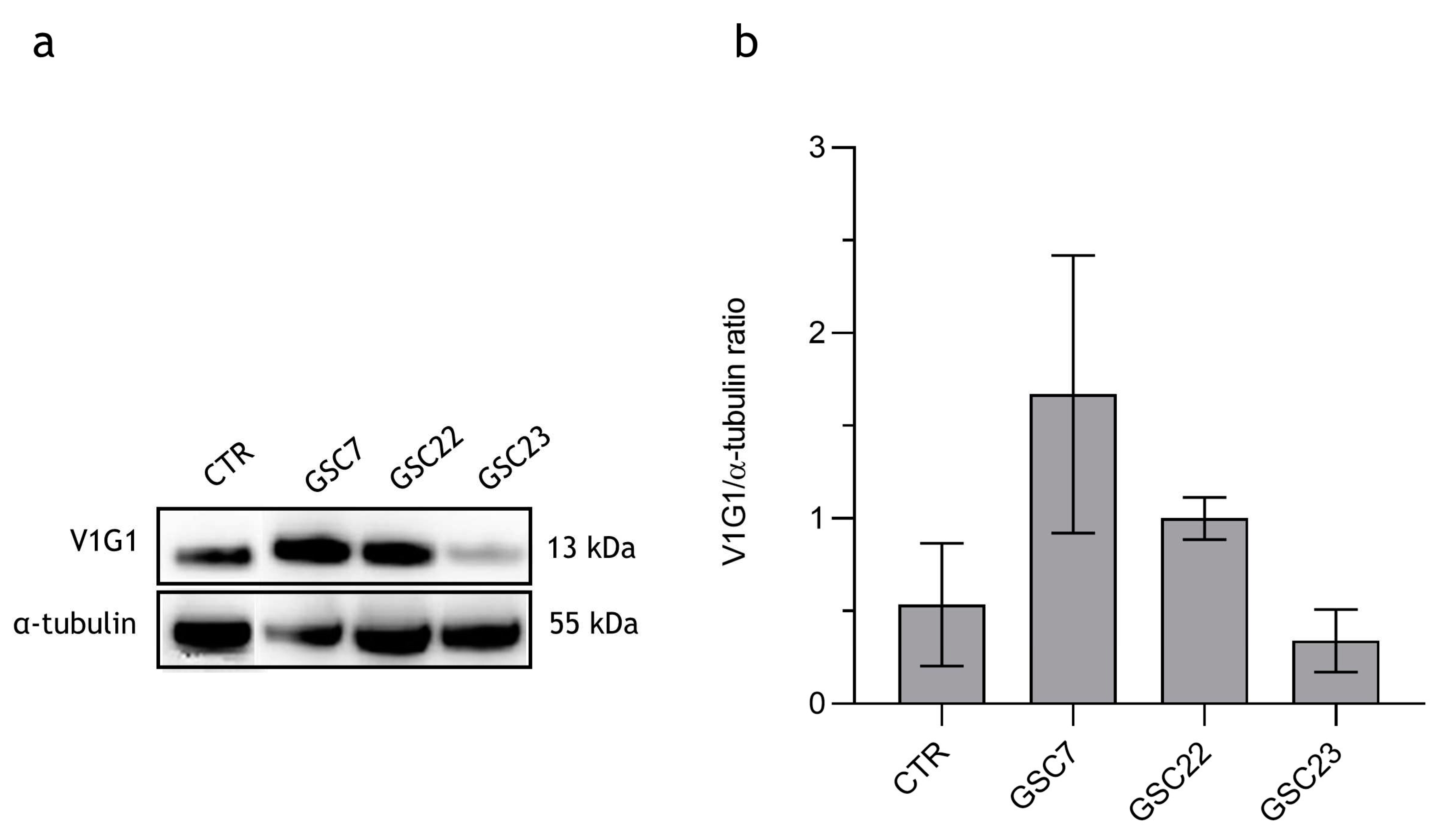 Preprints 97924 g003