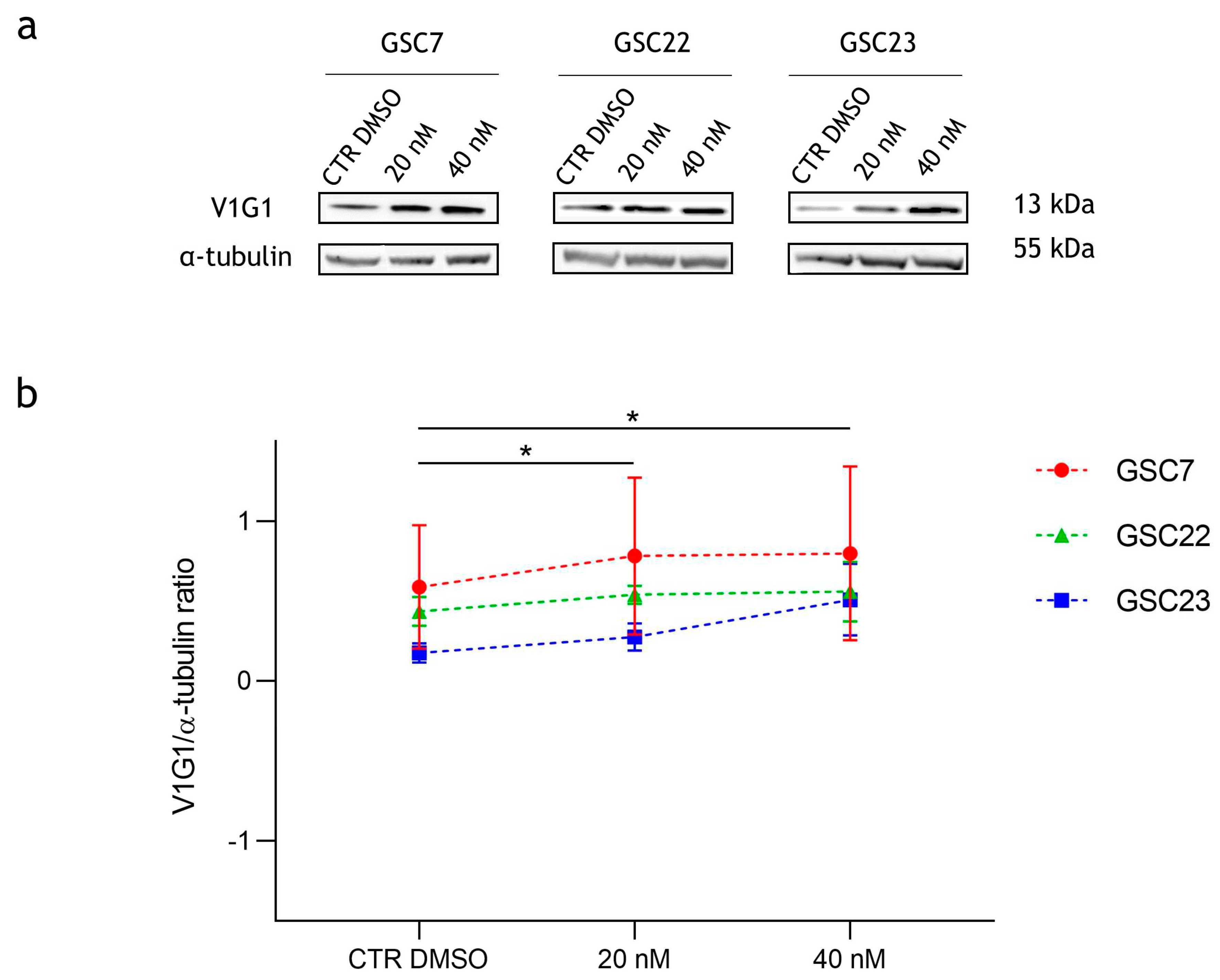 Preprints 97924 g007