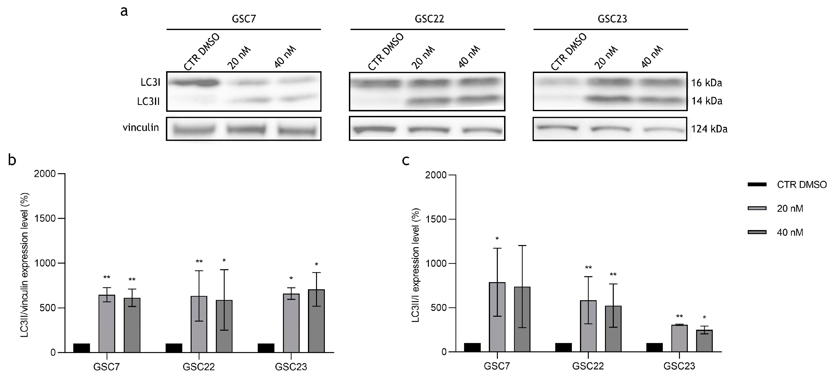 Preprints 97924 g008