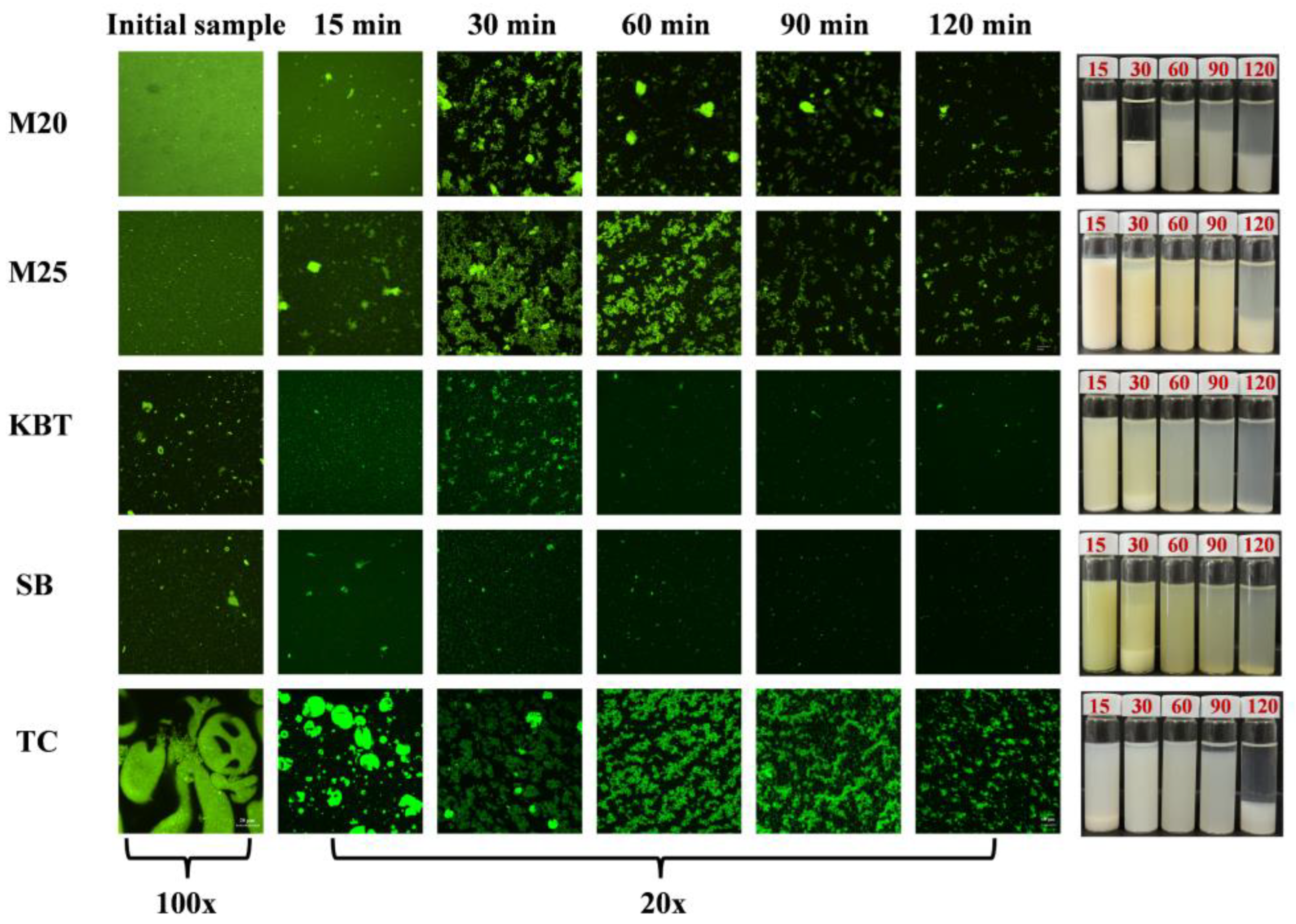 Preprints 111305 g003