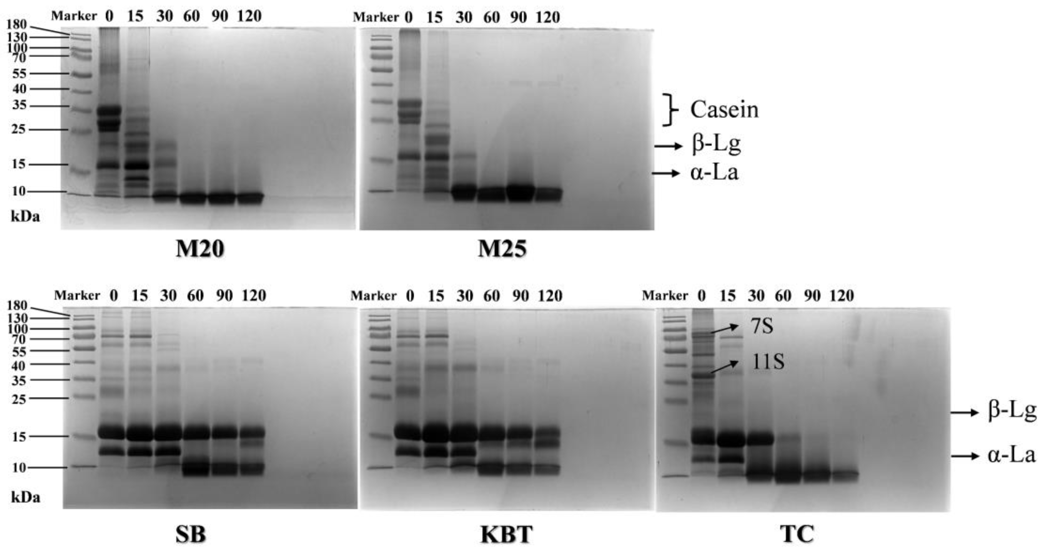 Preprints 111305 g005