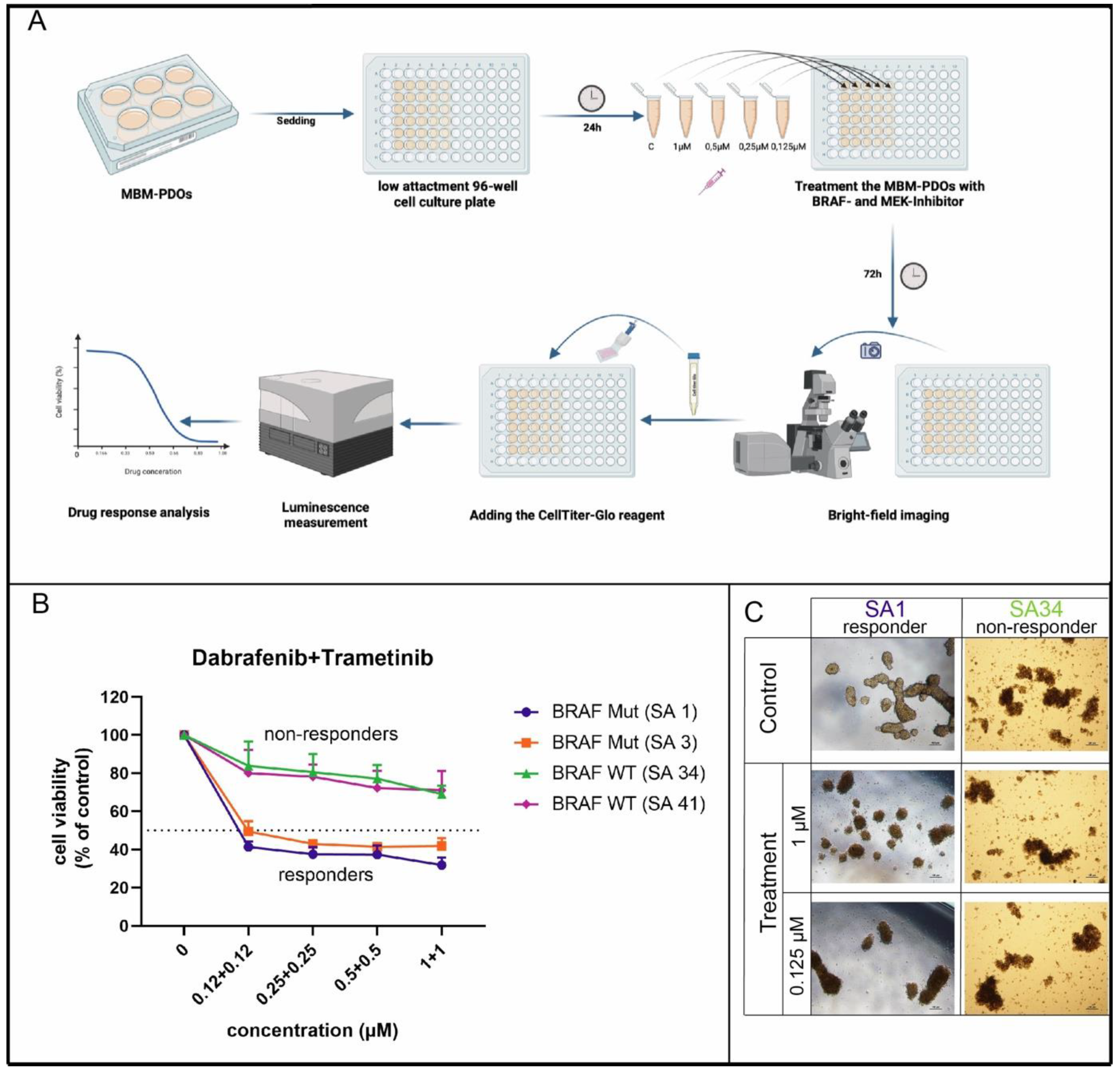 Preprints 111425 g004