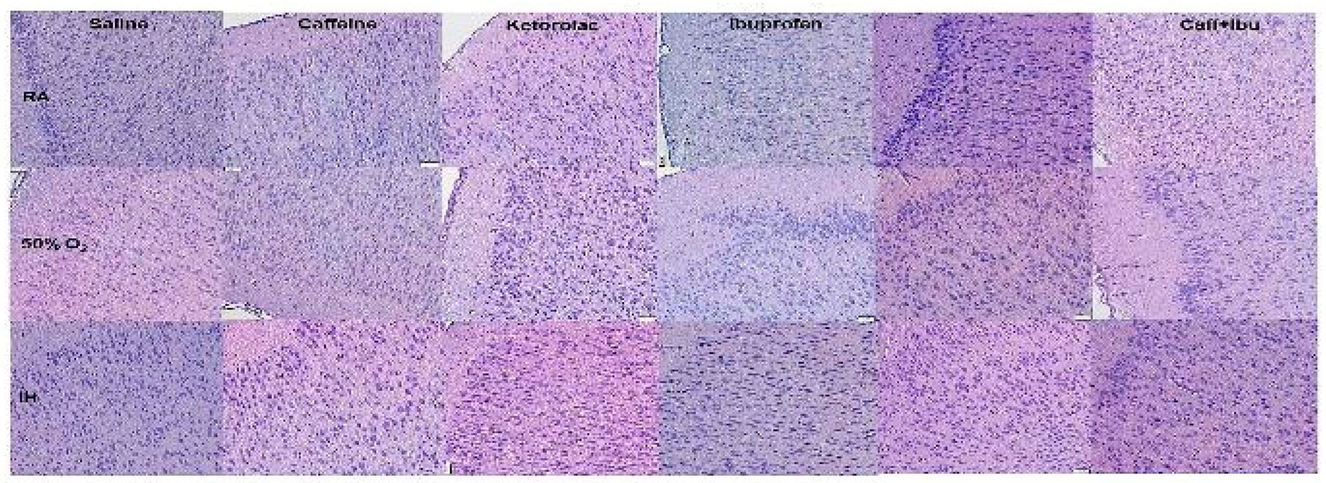 Preprints 82610 g004