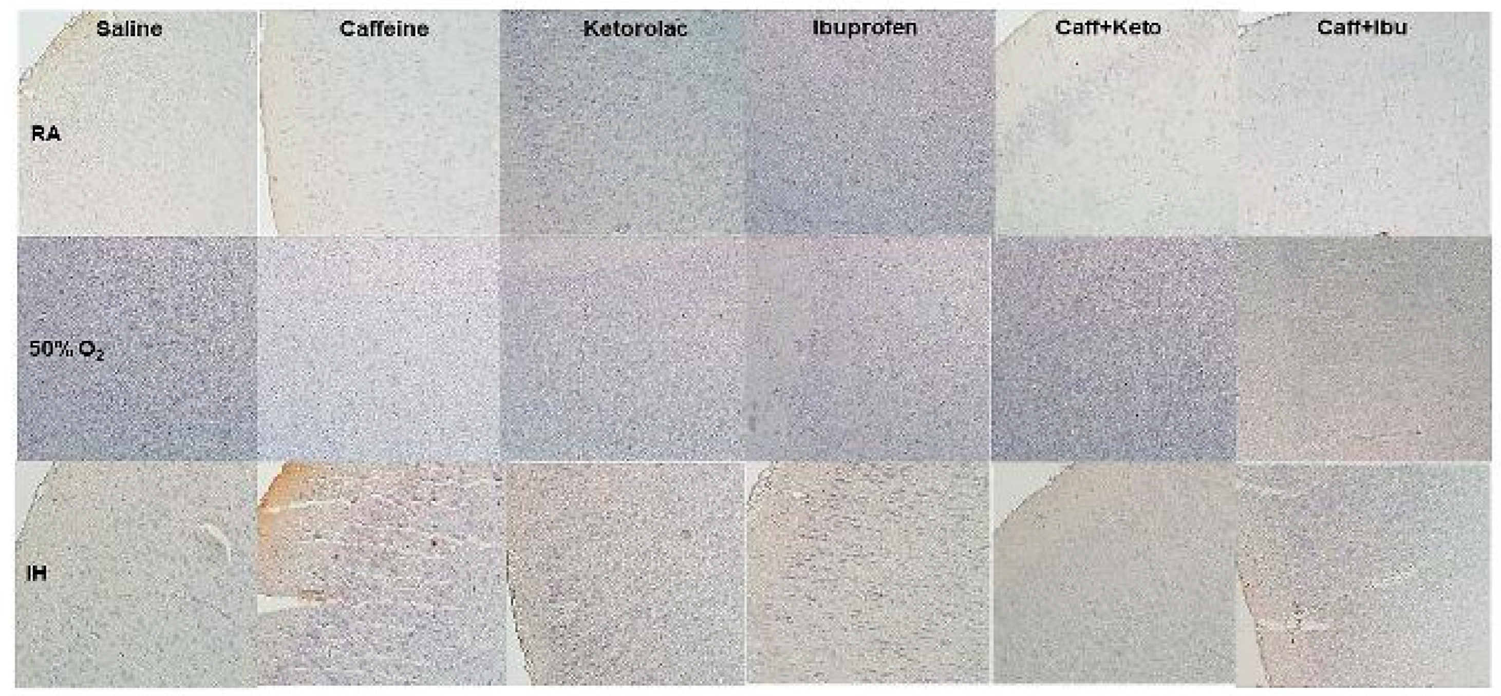 Preprints 82610 g014