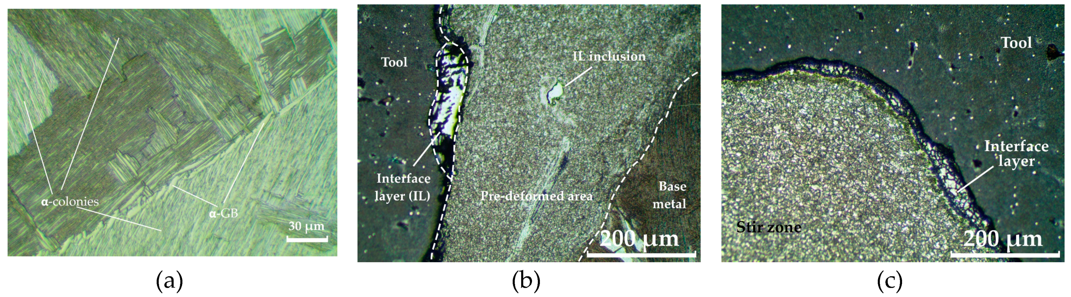 Preprints 90909 g004