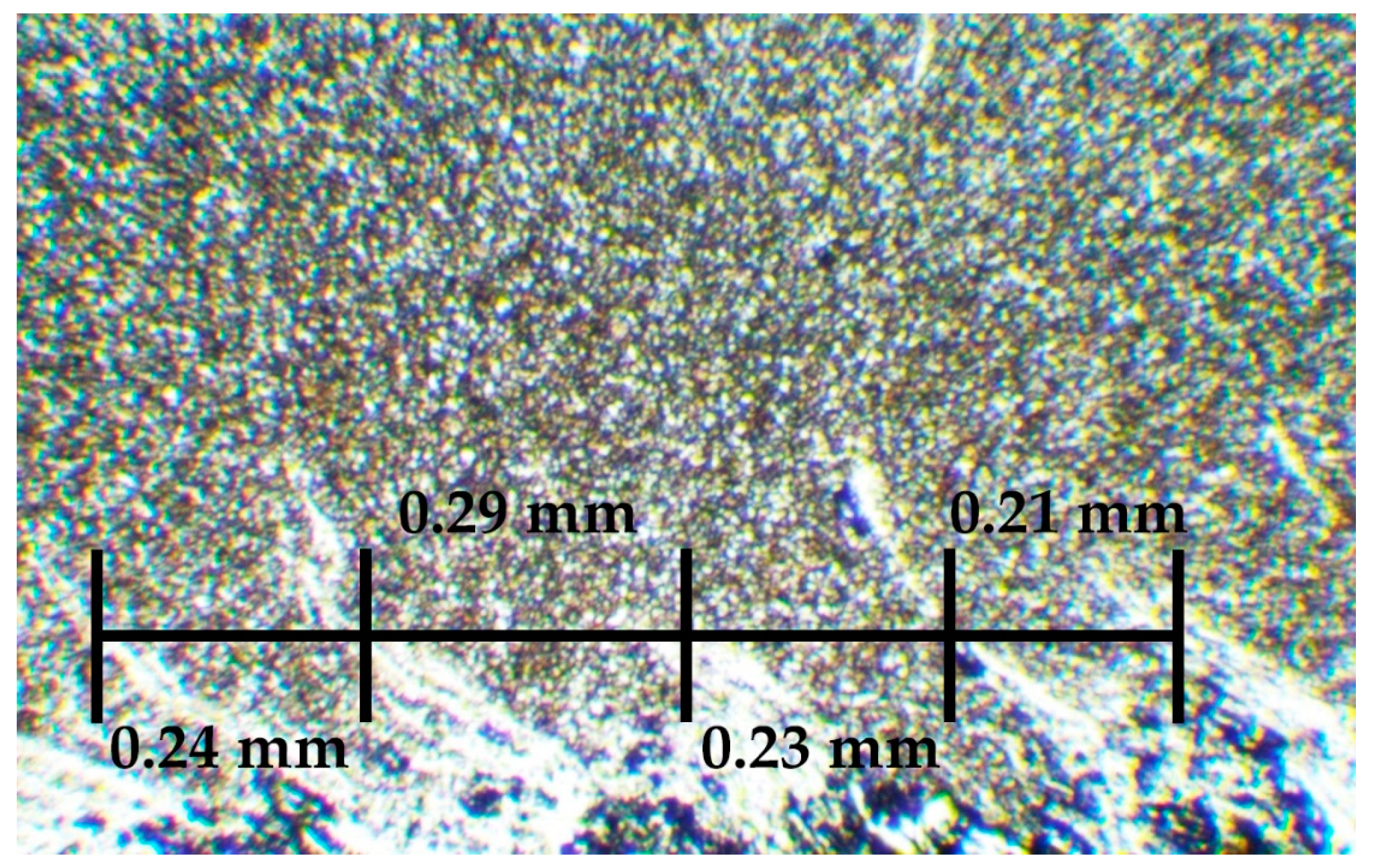 Preprints 90909 g007