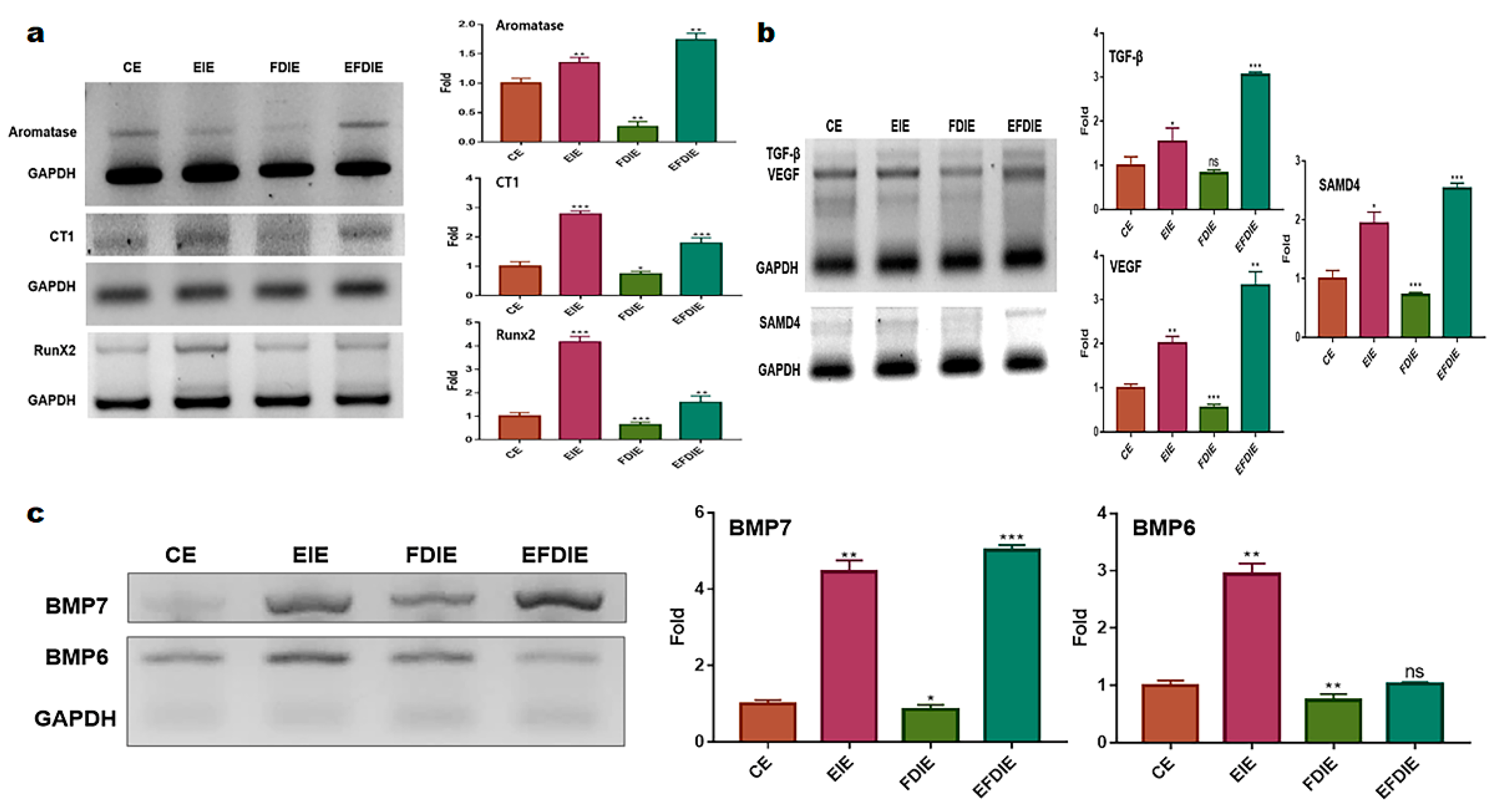 Preprints 106345 g003