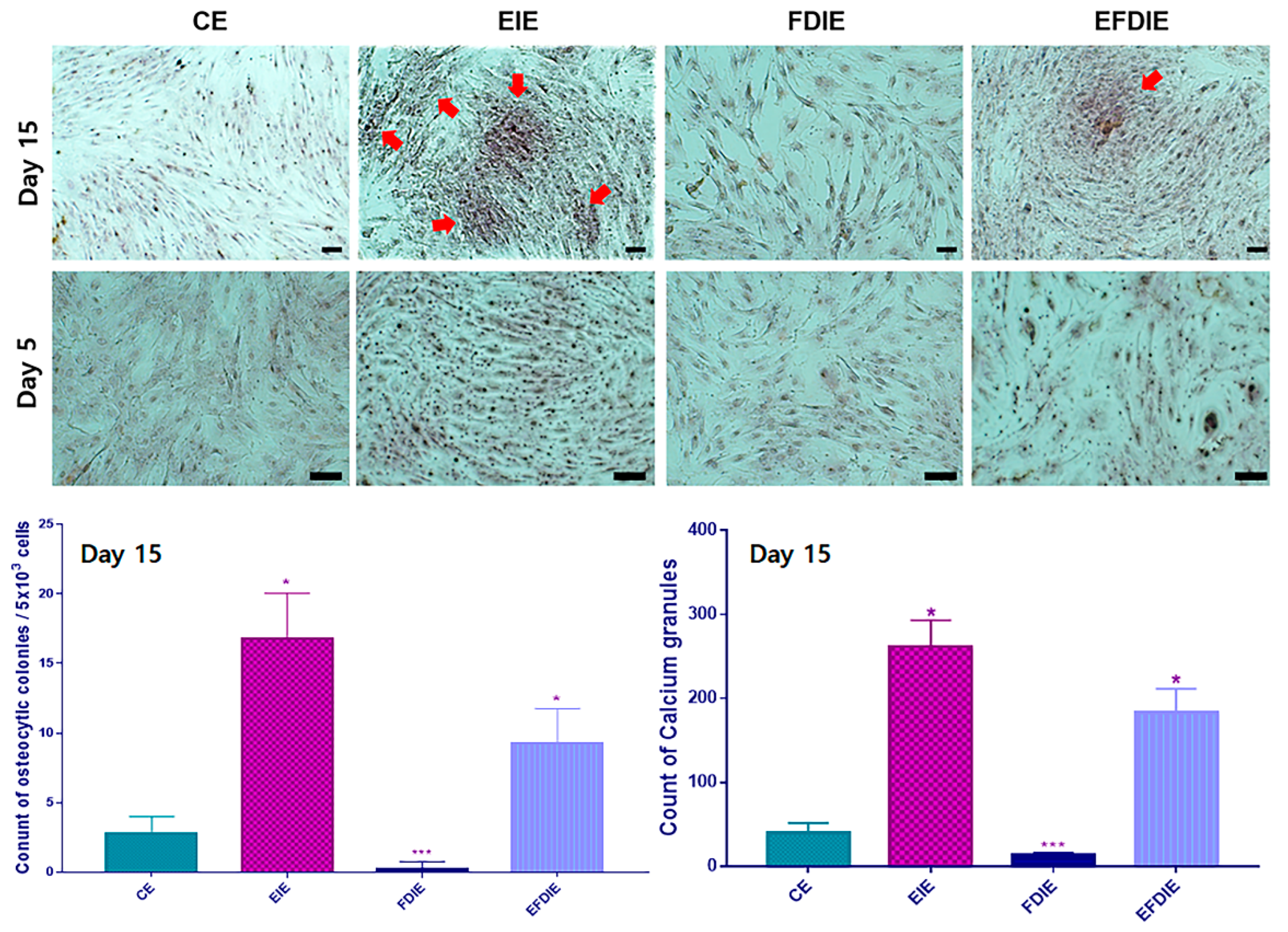 Preprints 106345 g004