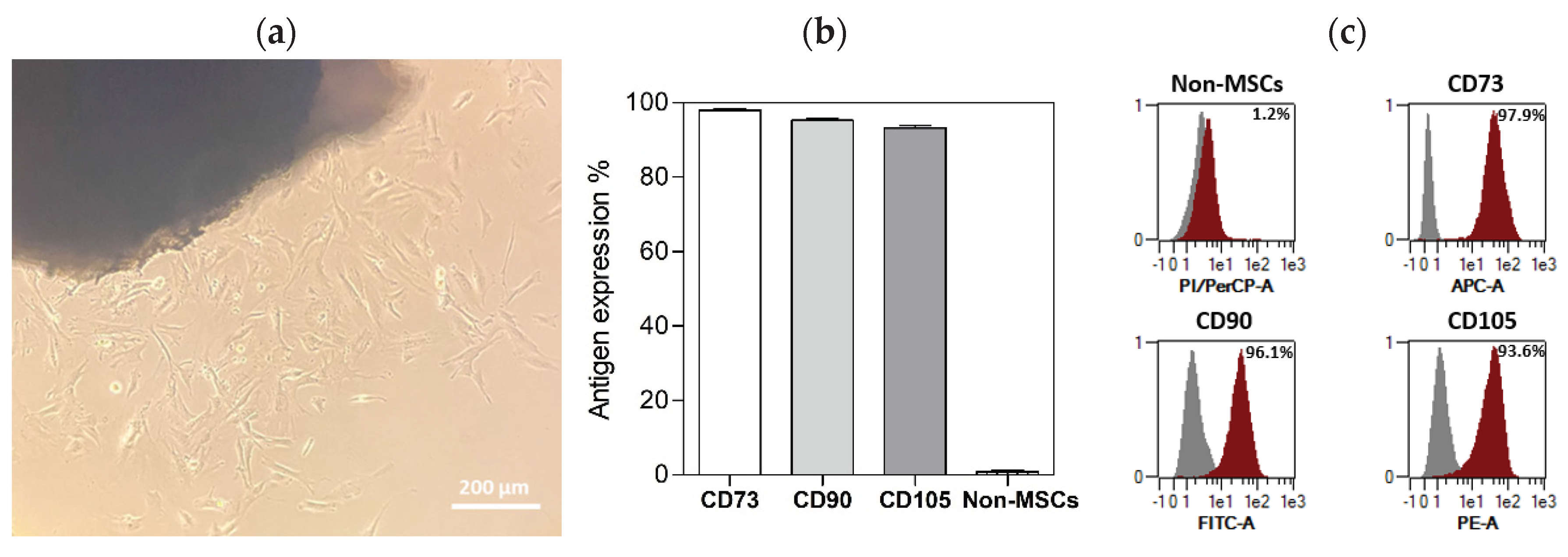 Preprints 102674 g001