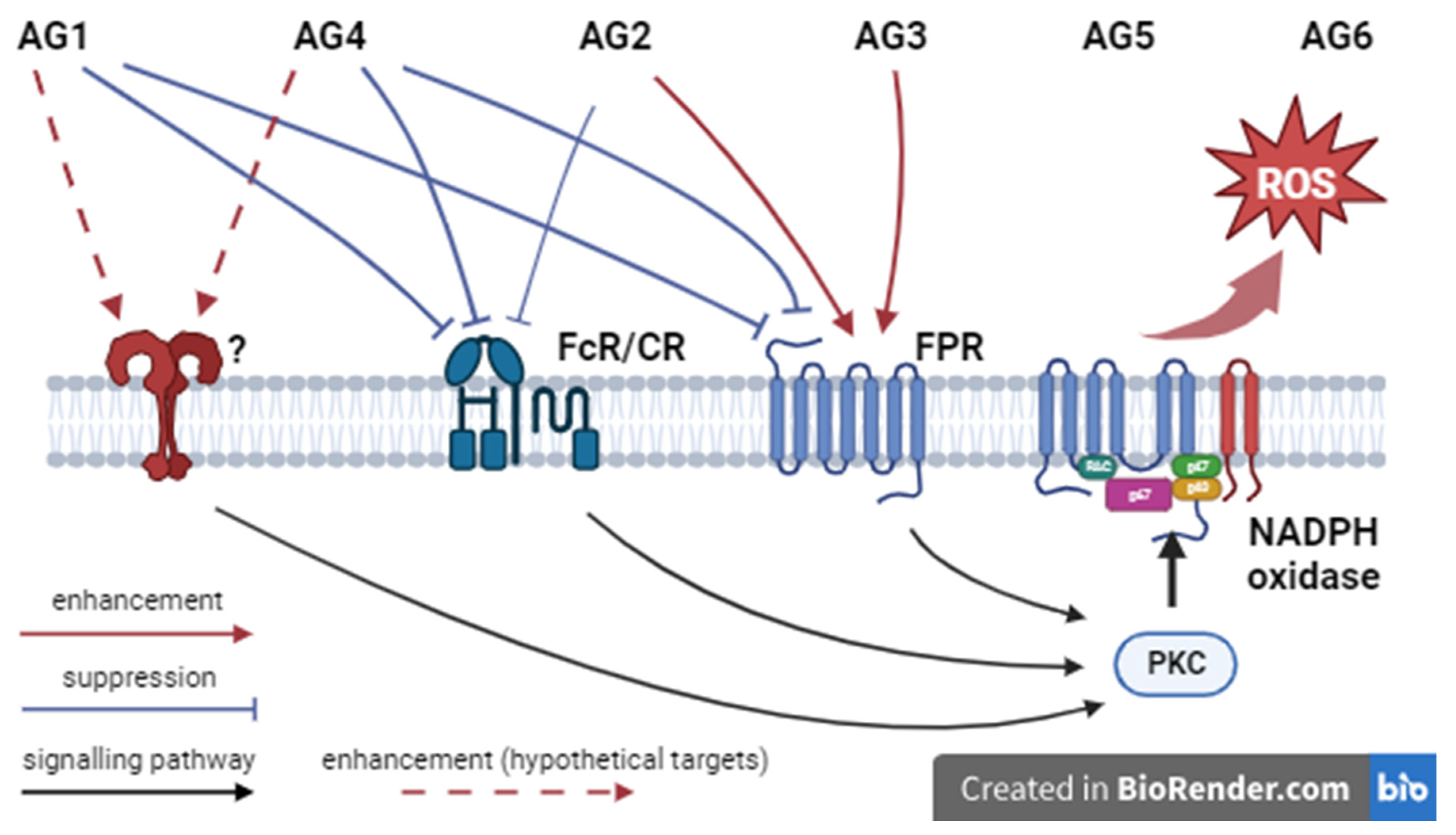 Preprints 94336 g006