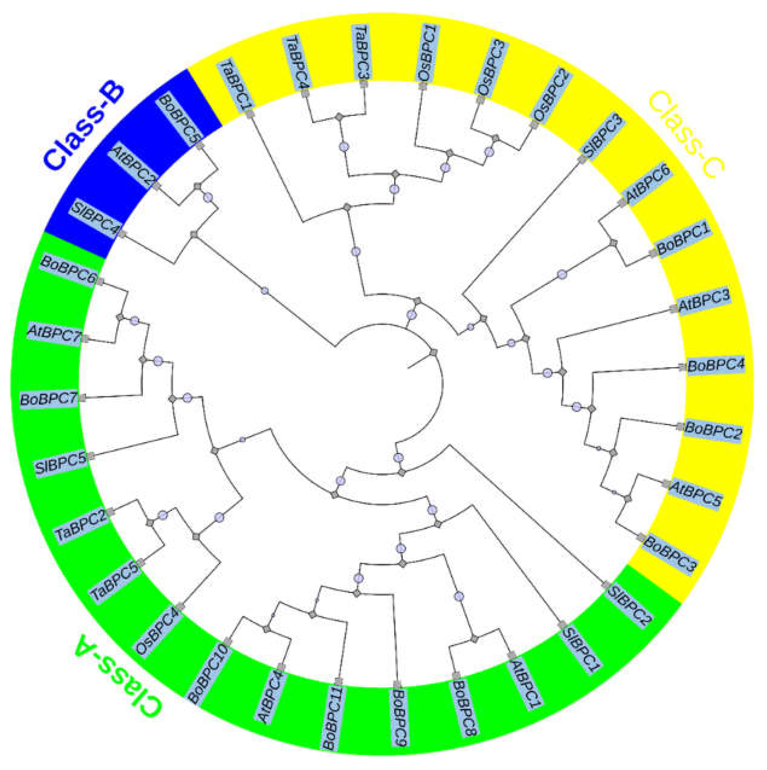 Preprints 104434 g002