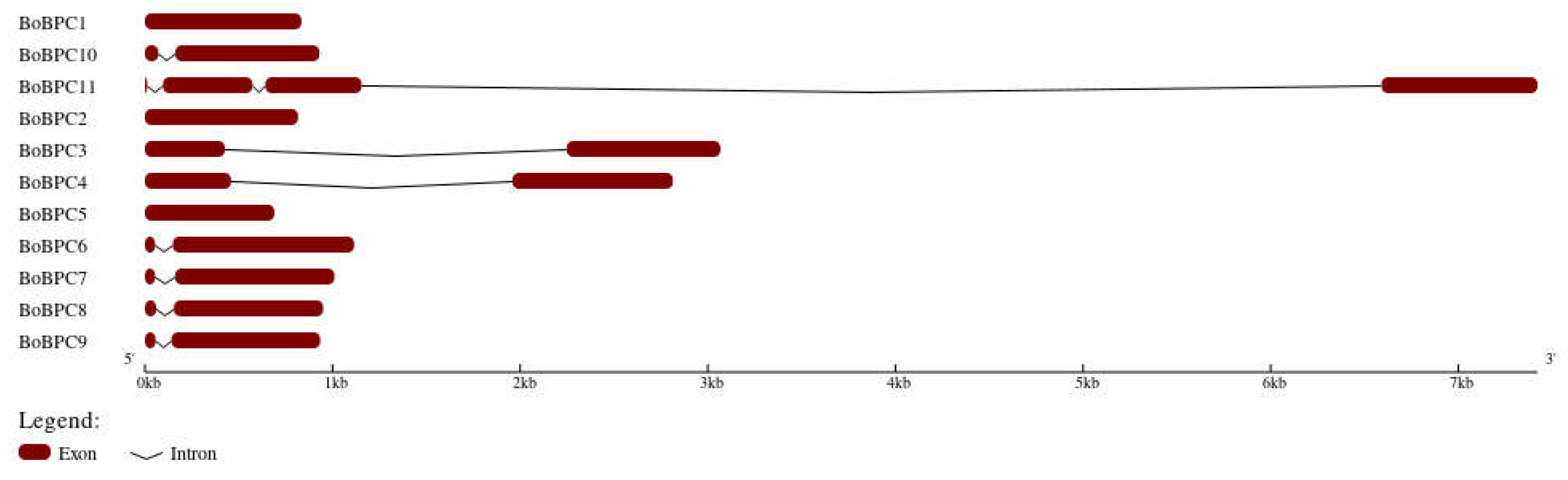 Preprints 104434 g003