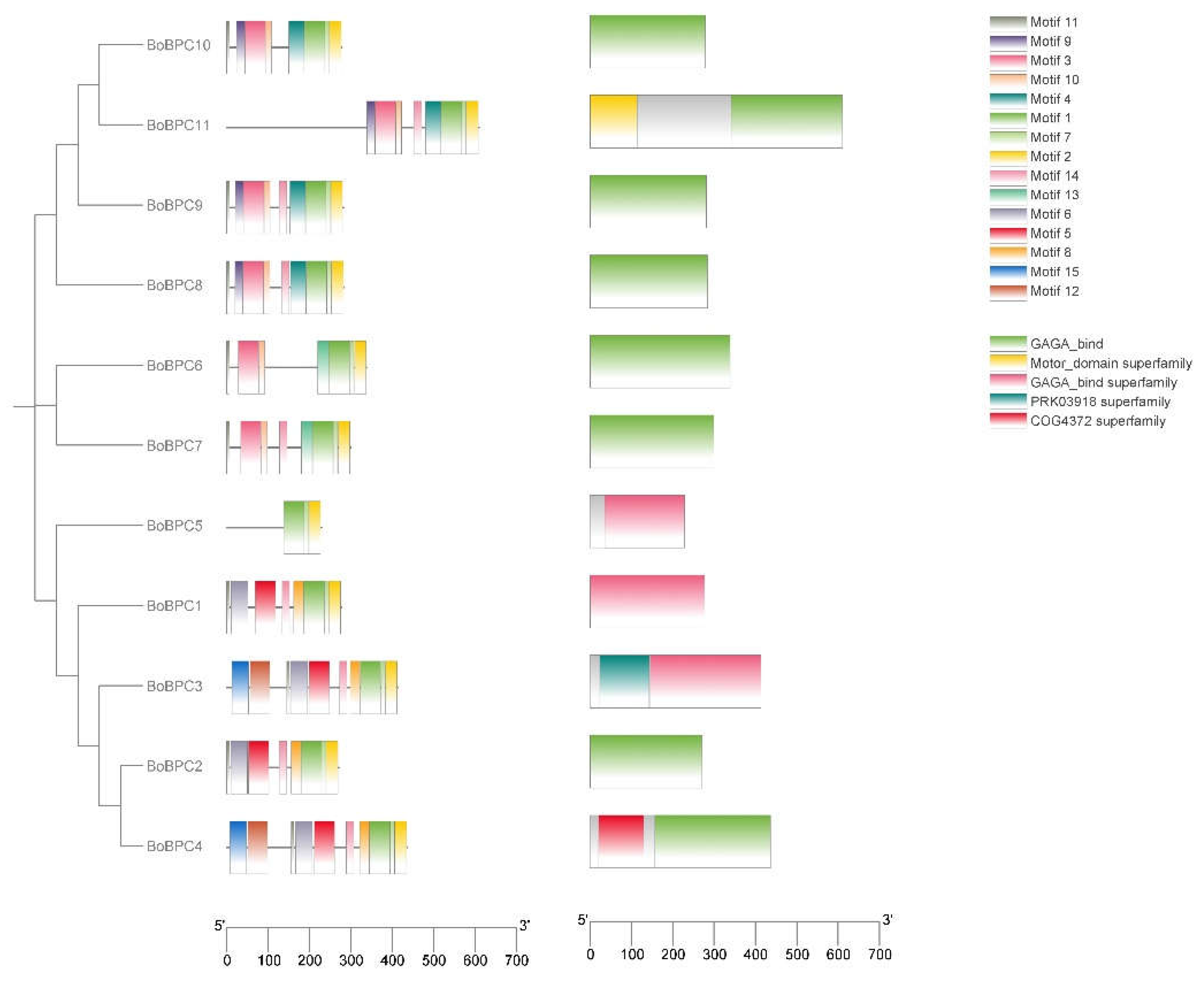 Preprints 104434 g004