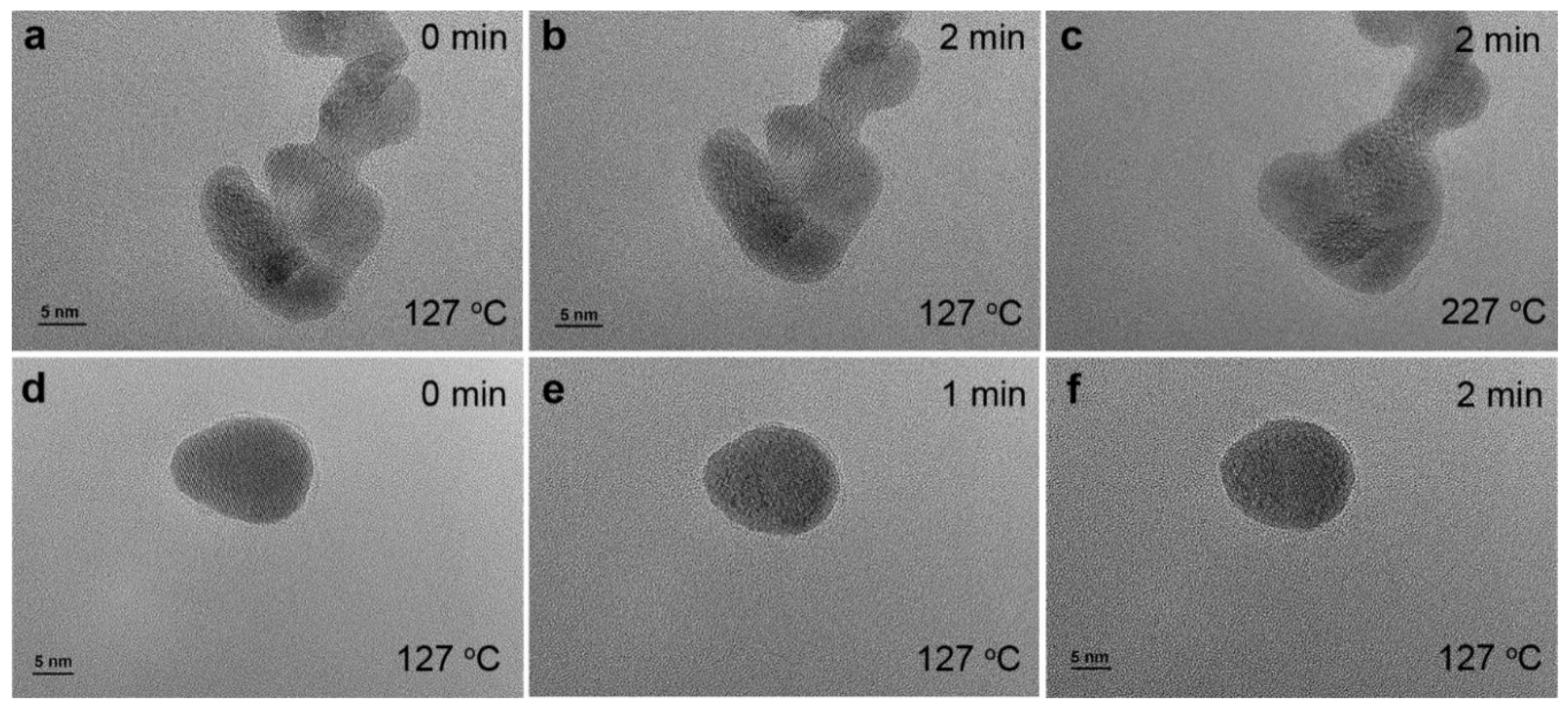 Preprints 94806 g012