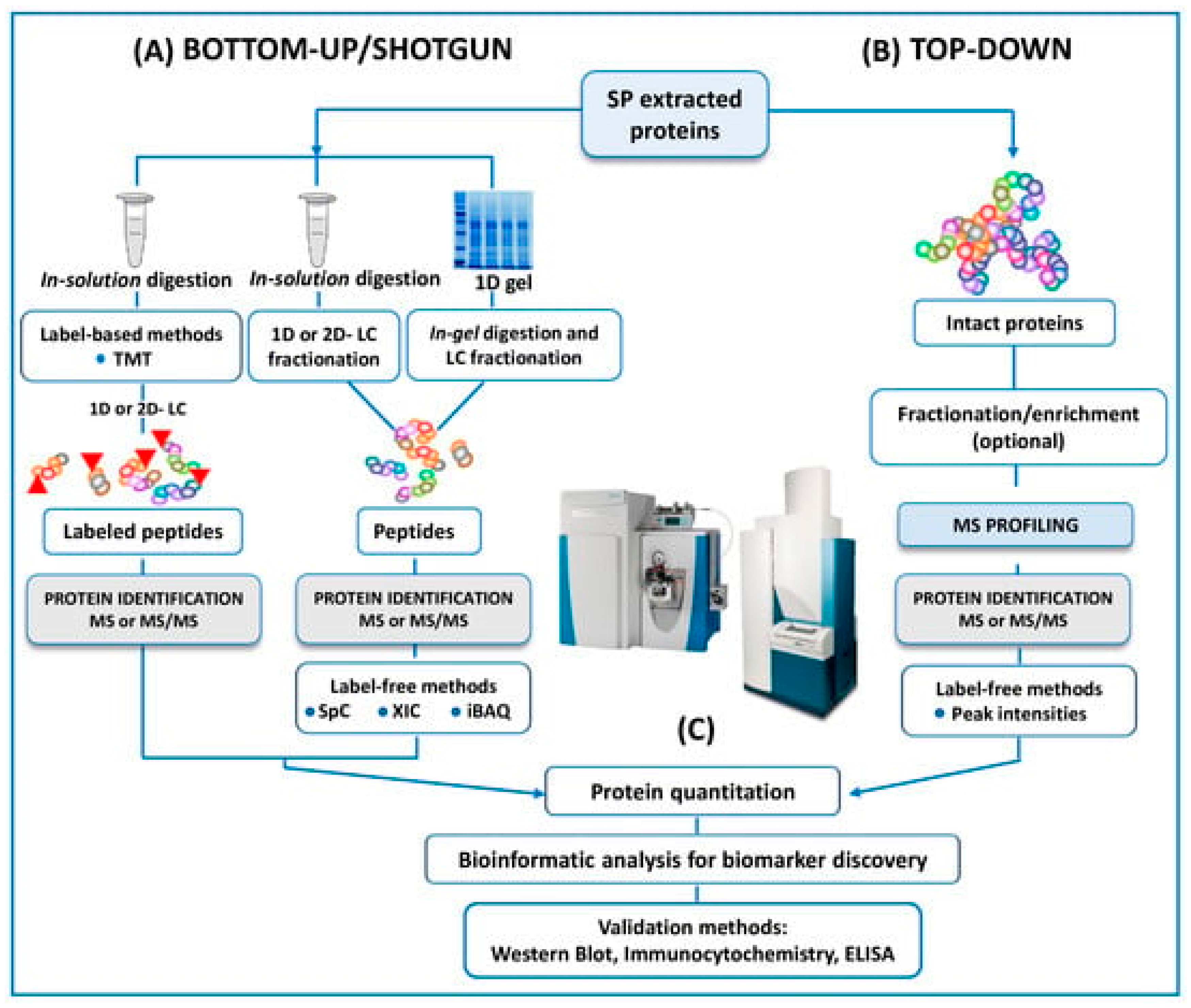 Preprints 78446 g003