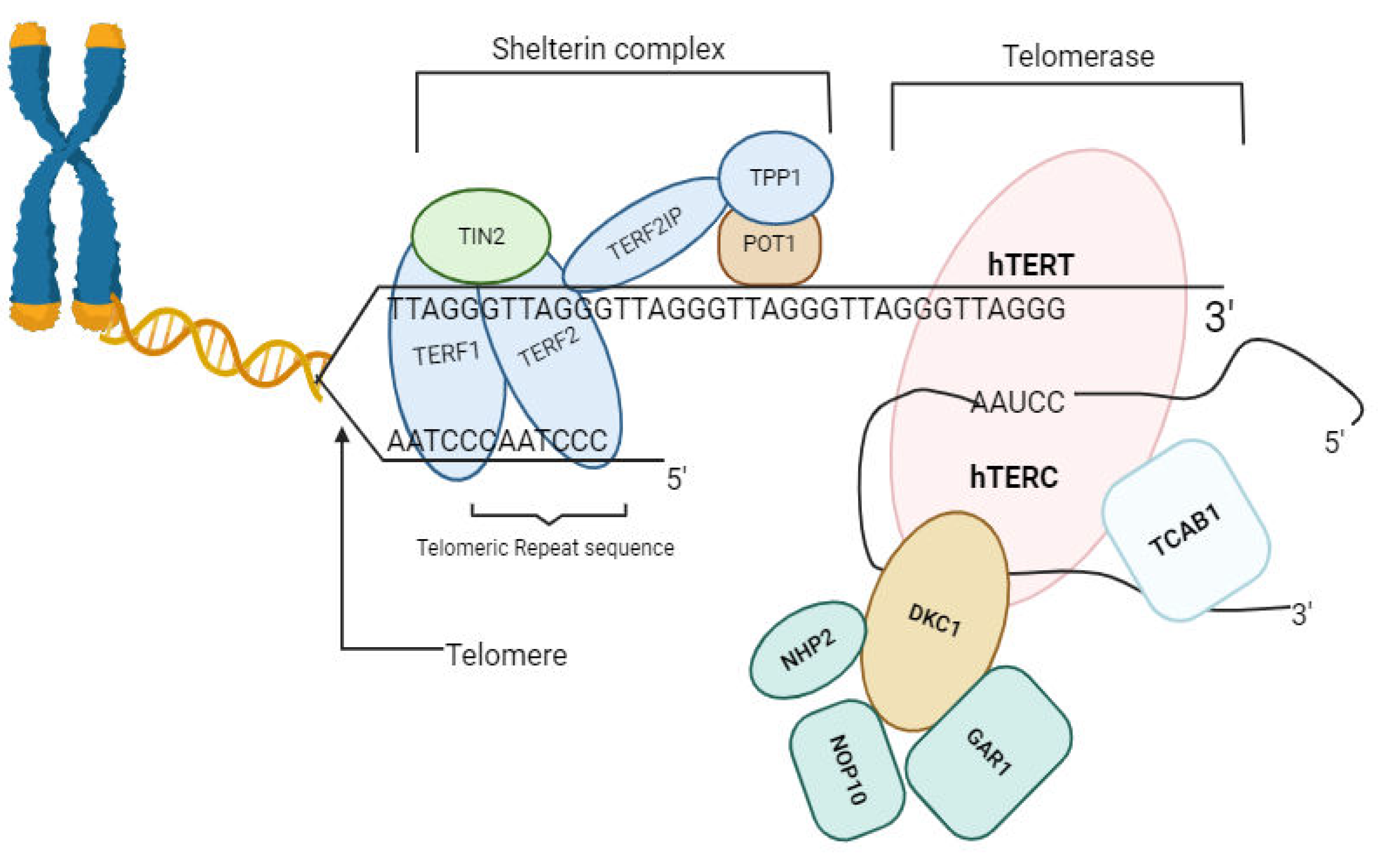 Preprints 103852 g001