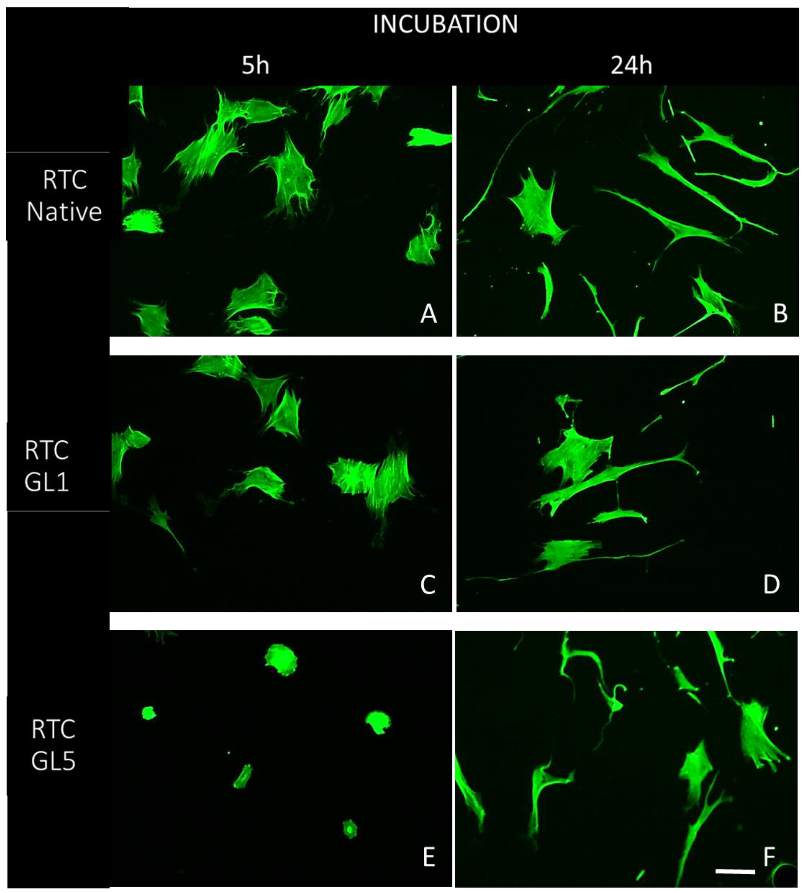 Preprints 99820 g002