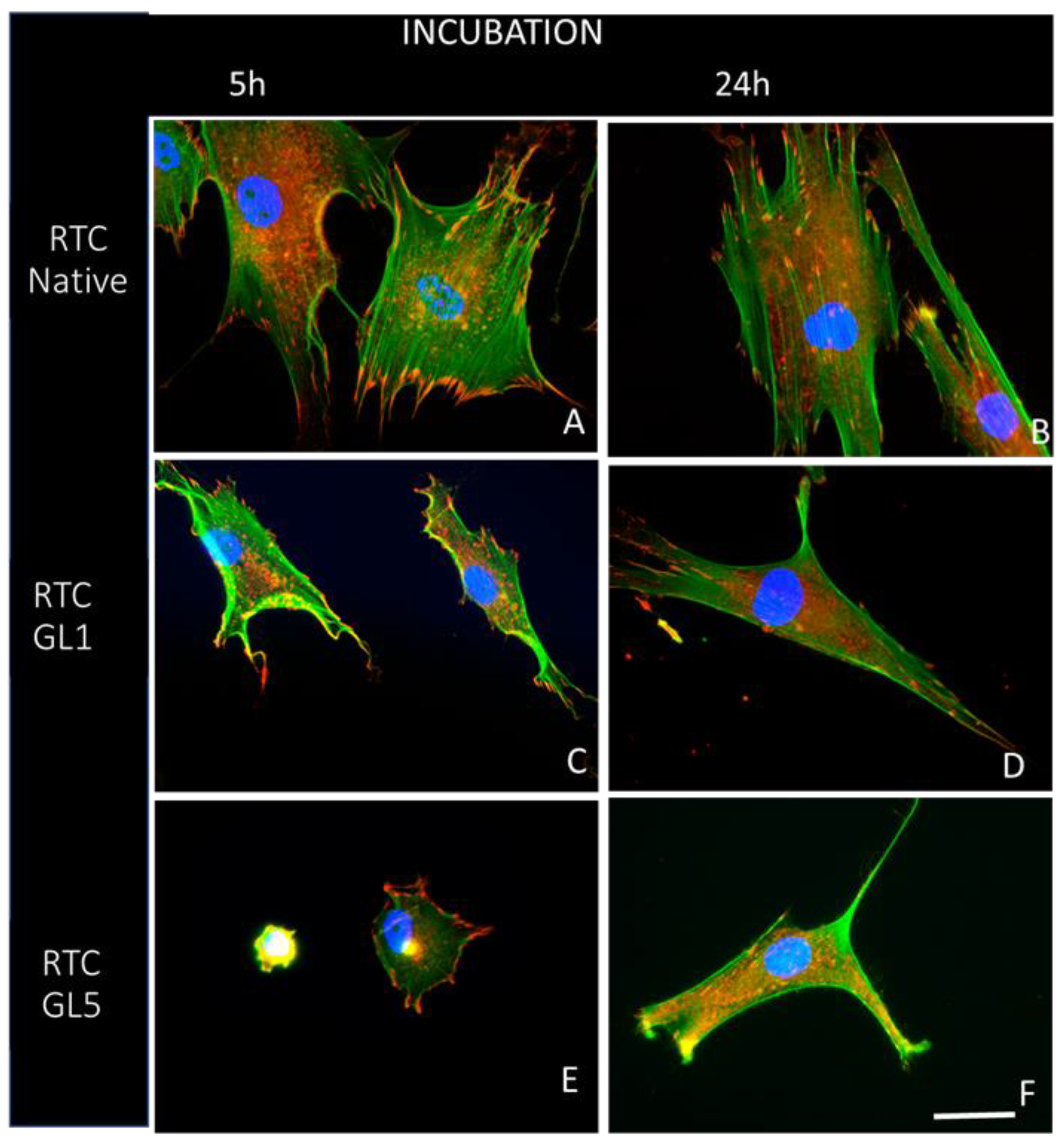 Preprints 99820 g003