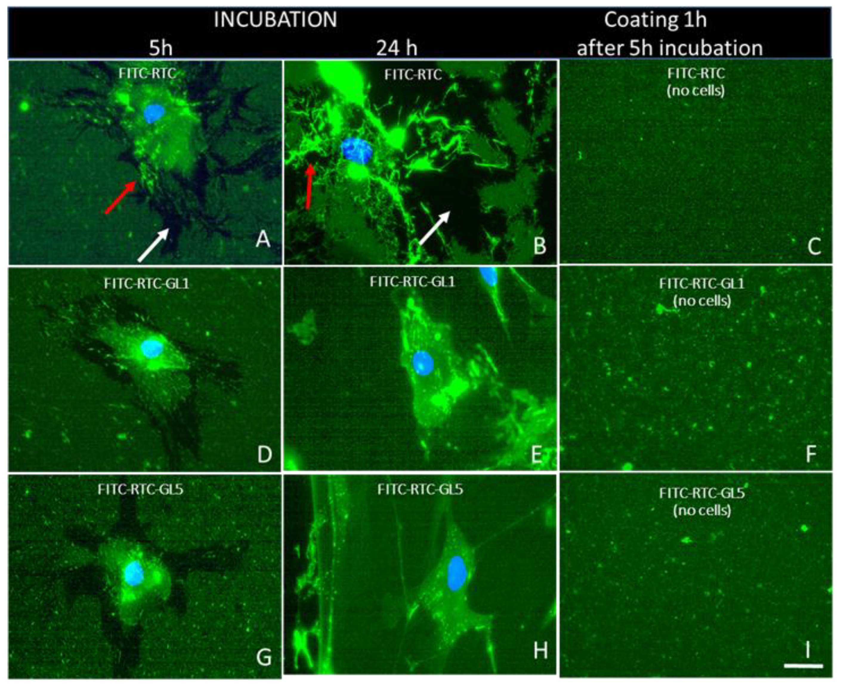 Preprints 99820 g004