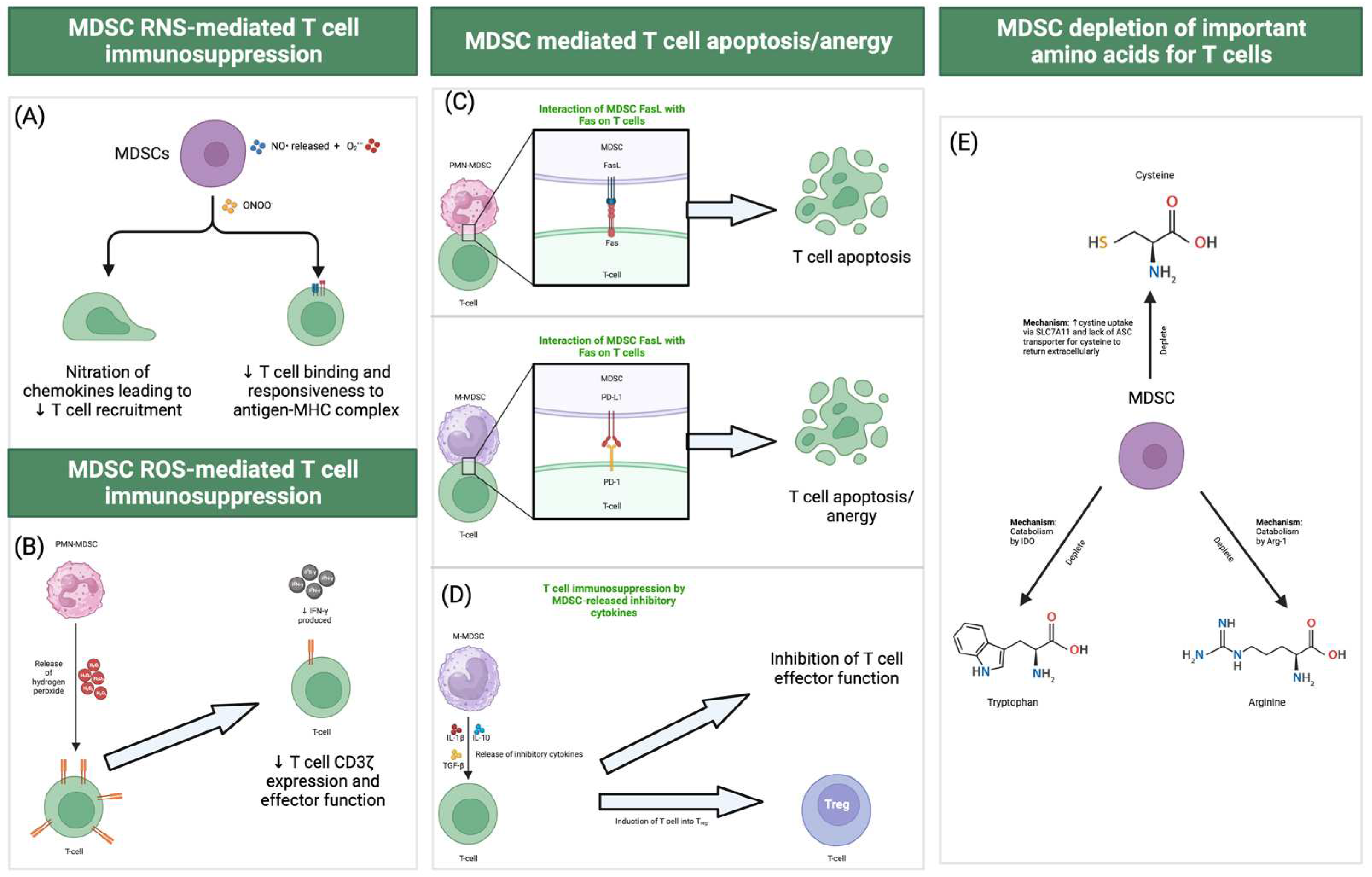 Preprints 90861 g001