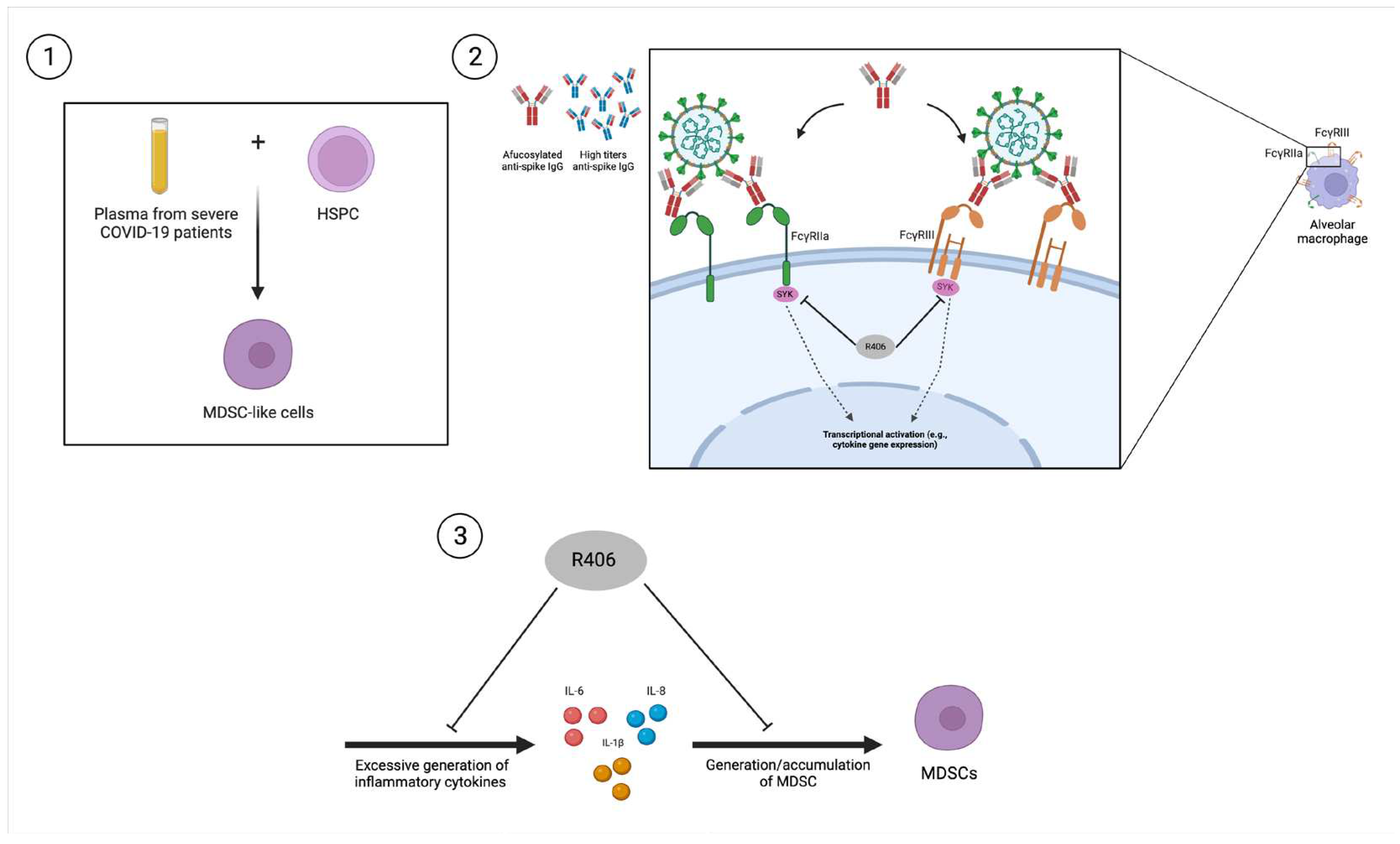 Preprints 90861 g003