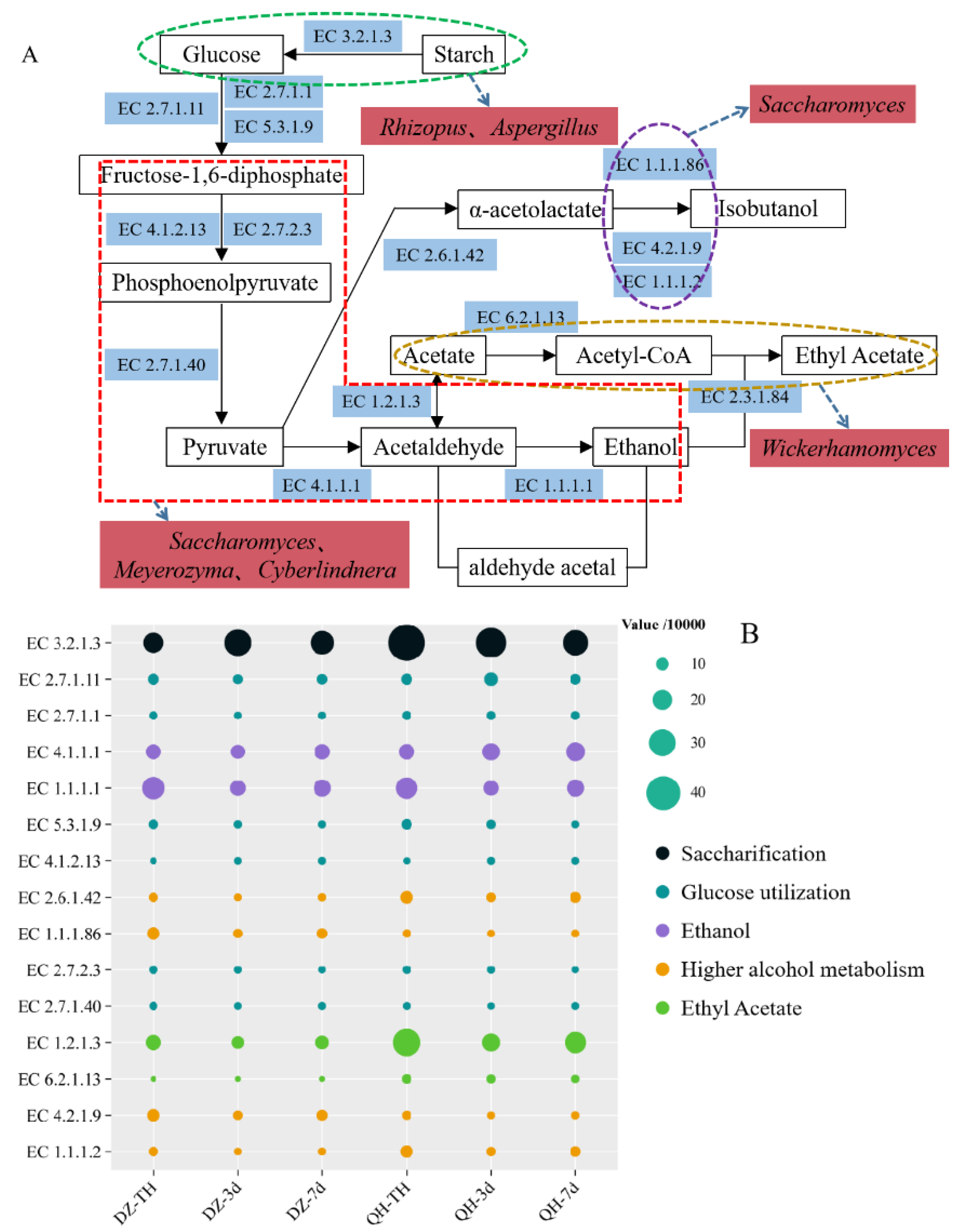 Preprints 114604 g006