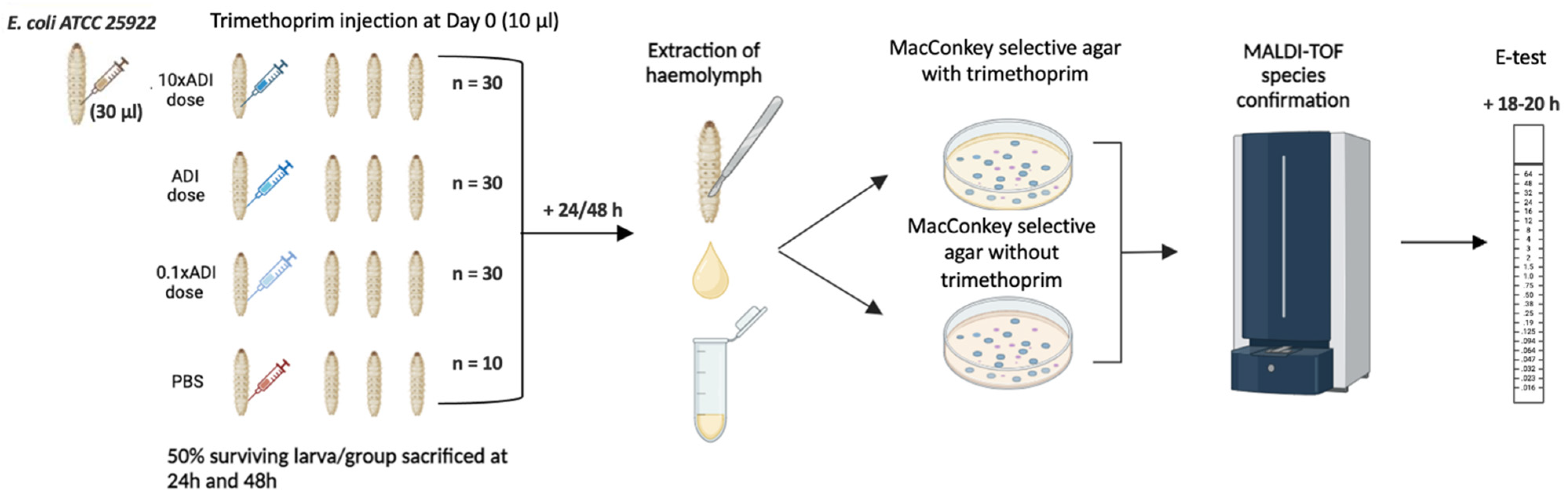 Preprints 138722 g001