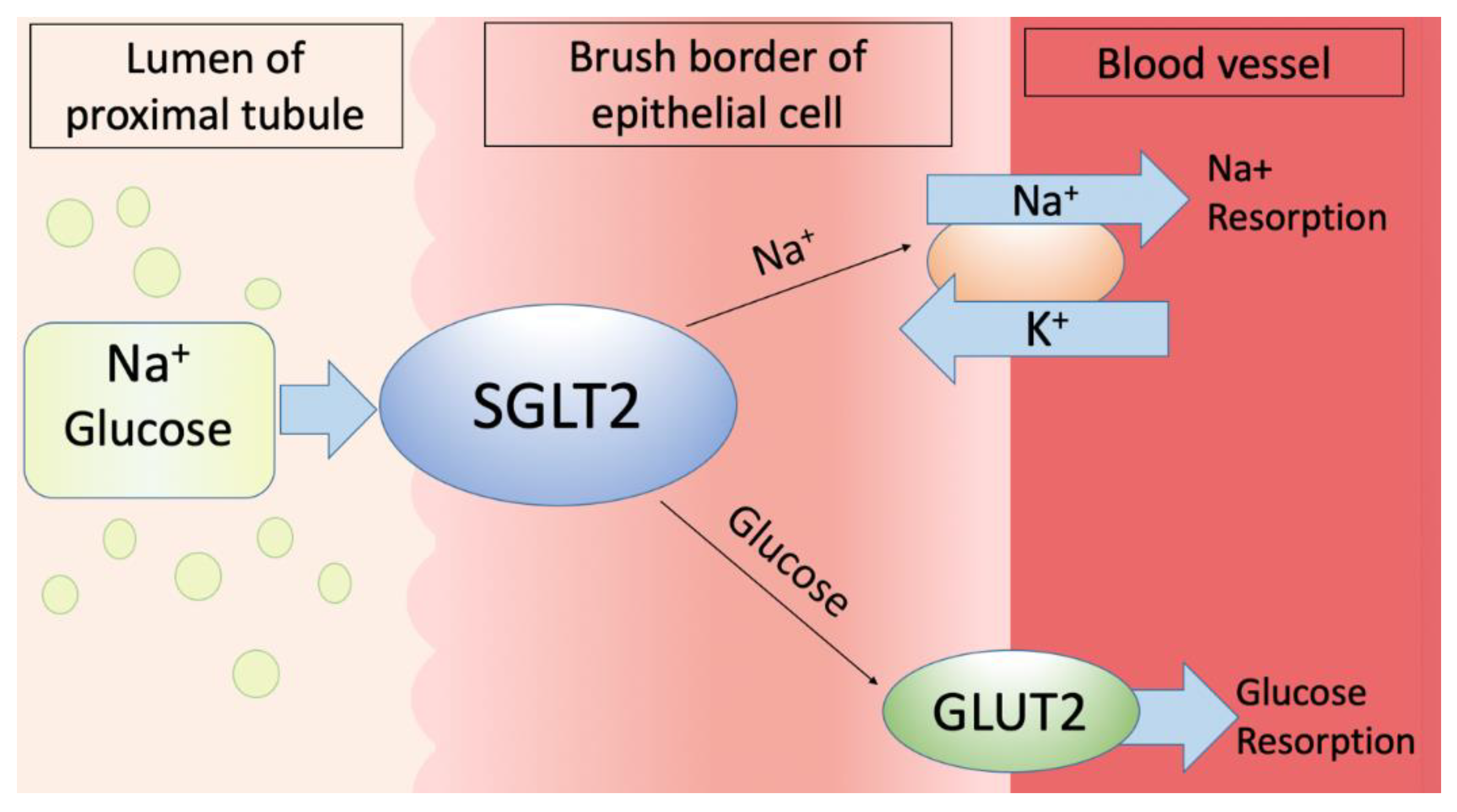 Preprints 138442 g001