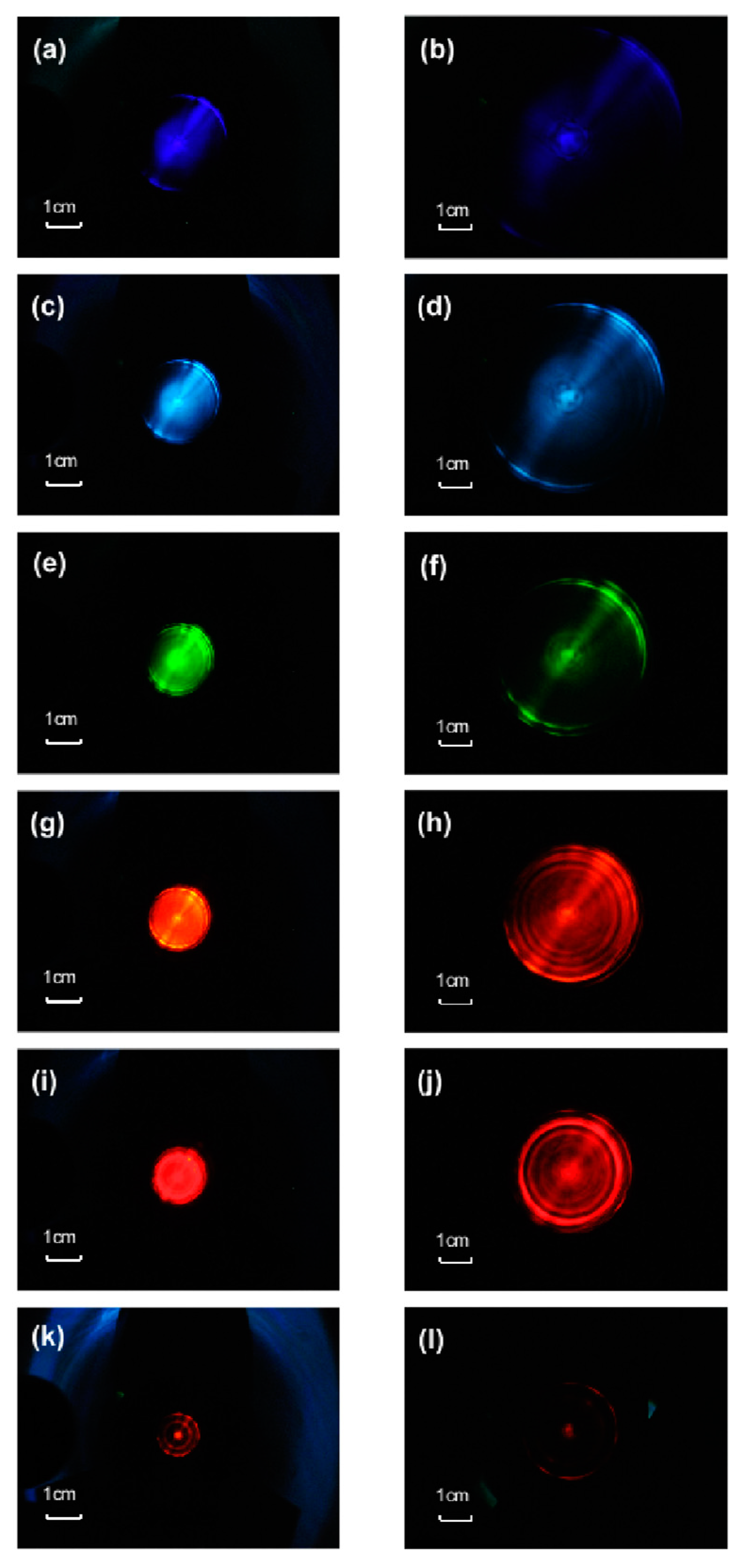 Preprints 86815 g004