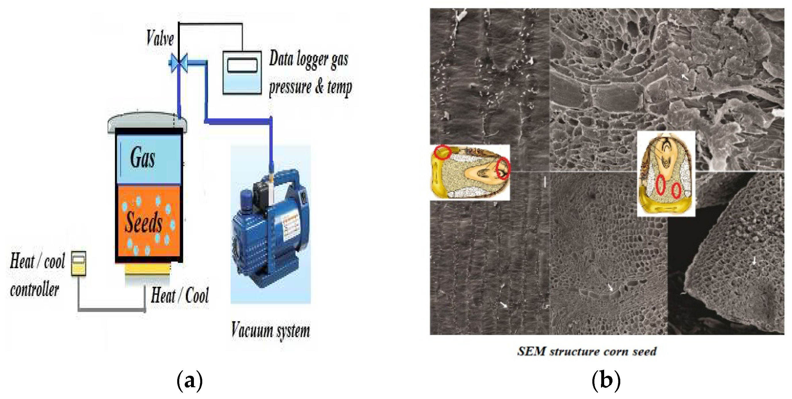 Preprints 96047 g001