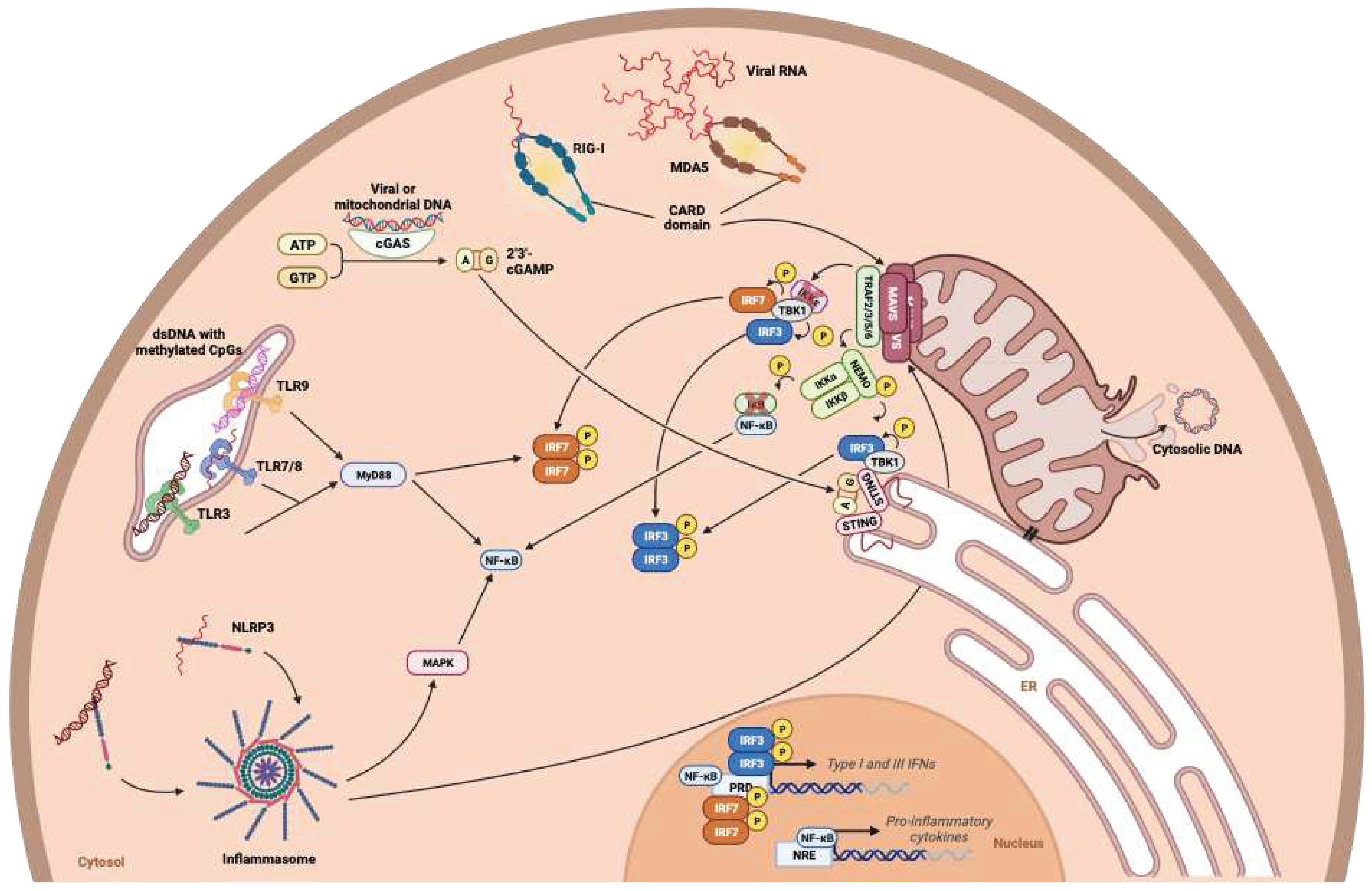 Preprints 90855 g006