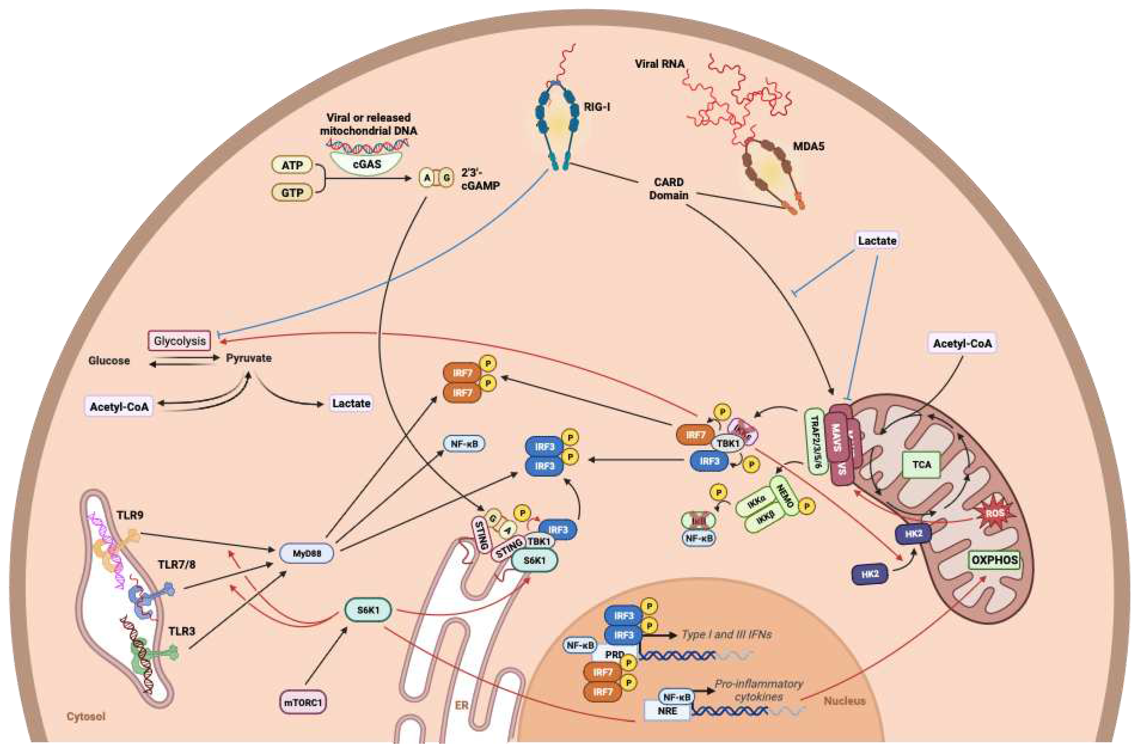 Preprints 90855 g007