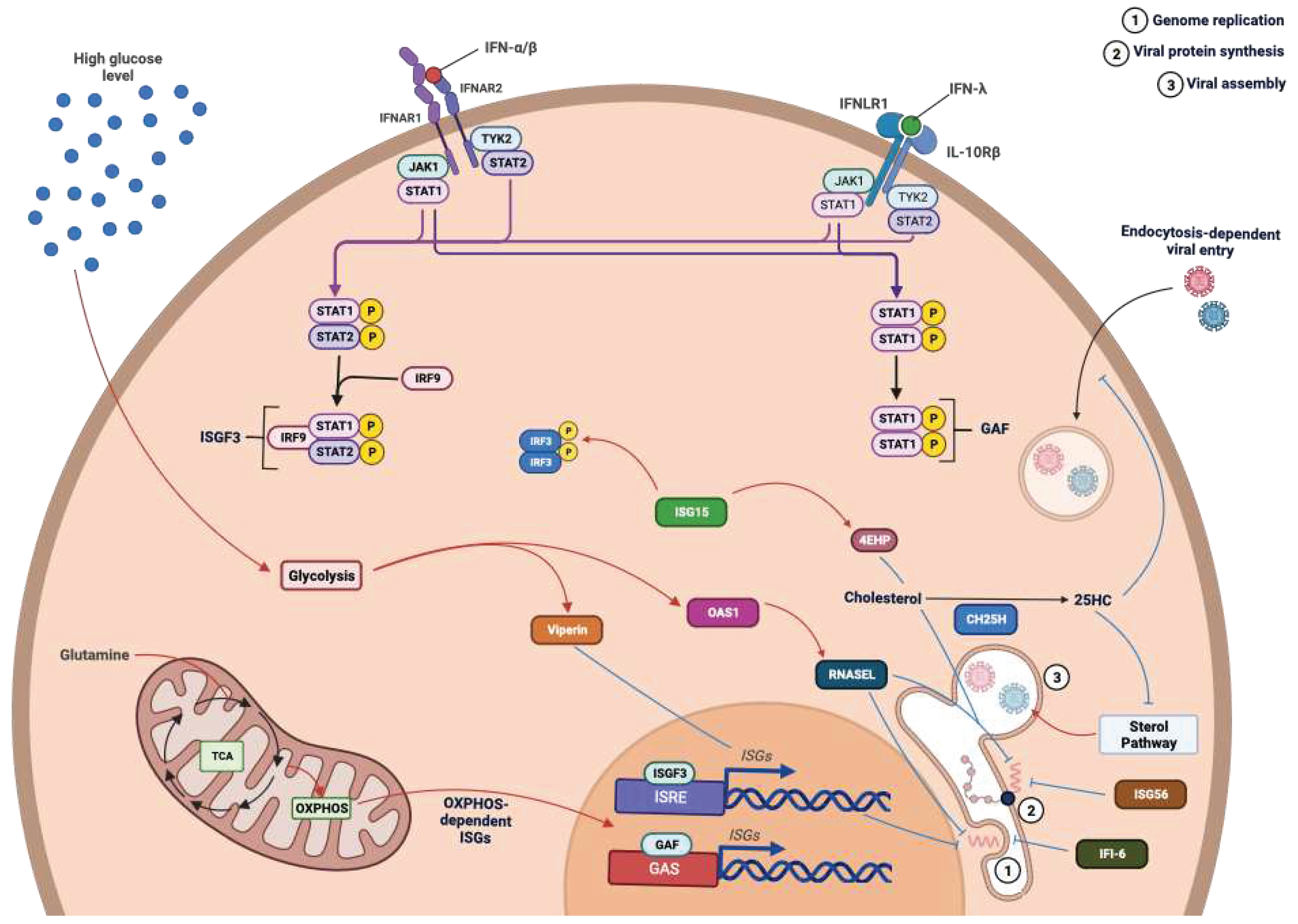 Preprints 90855 g008