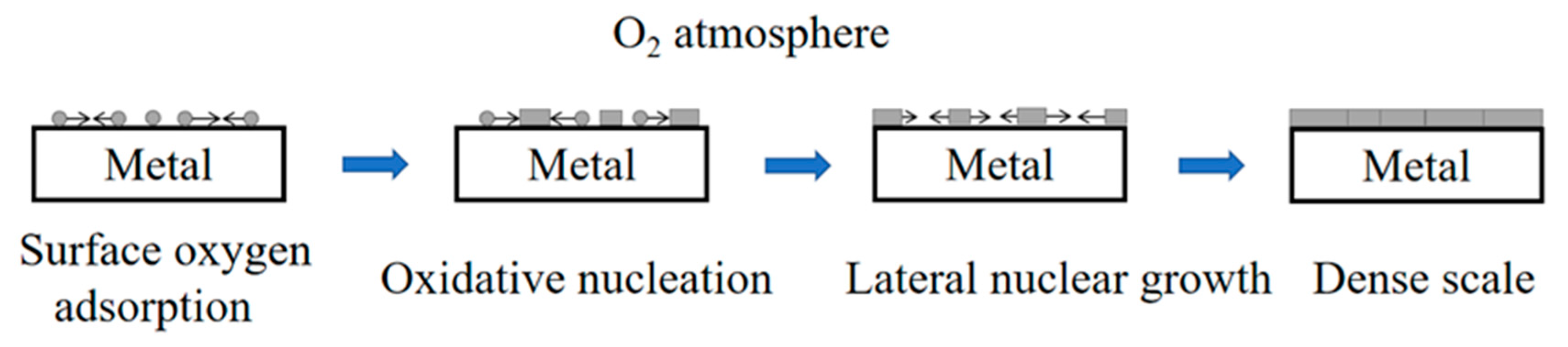 Preprints 81446 g004