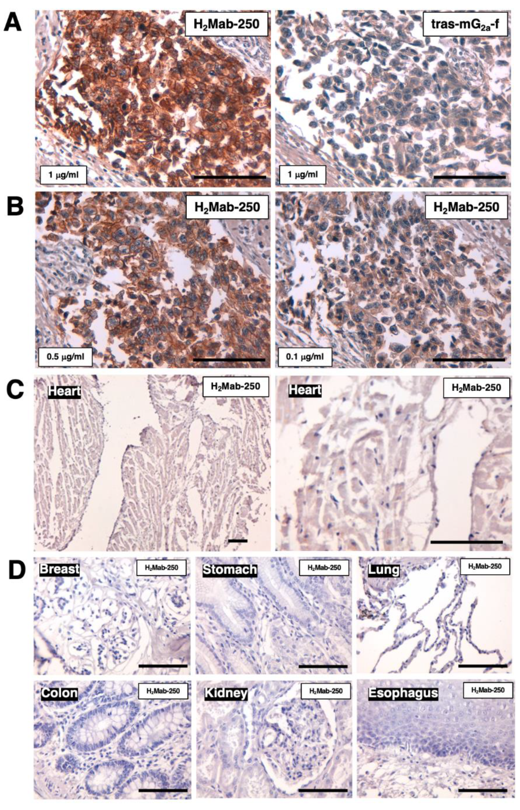 Preprints 94485 g006