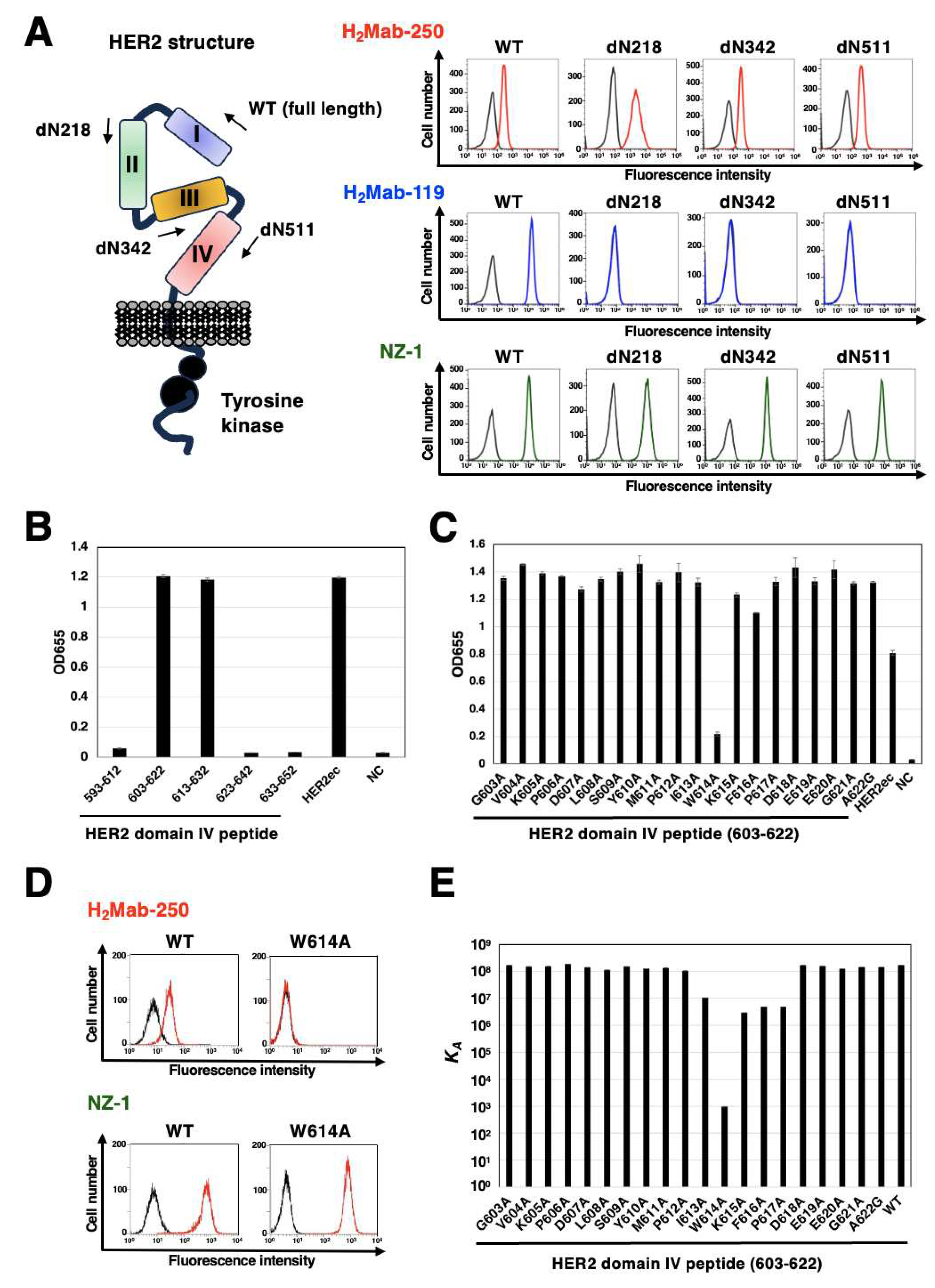 Preprints 94485 g007