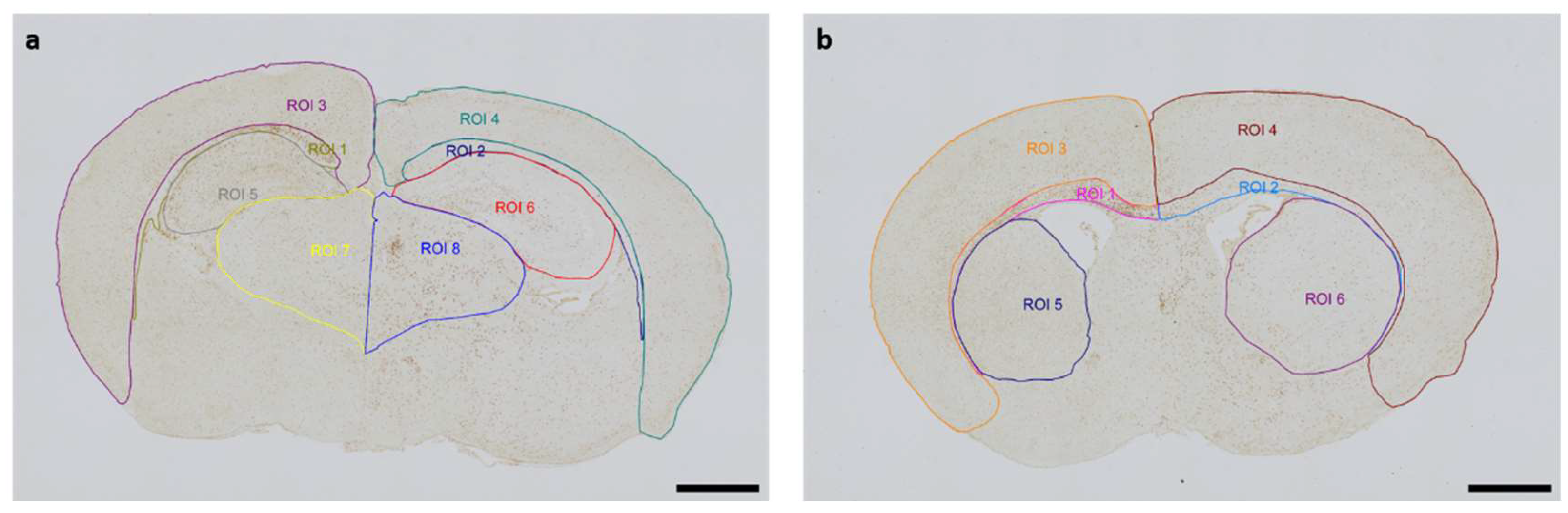 Preprints 137504 g001