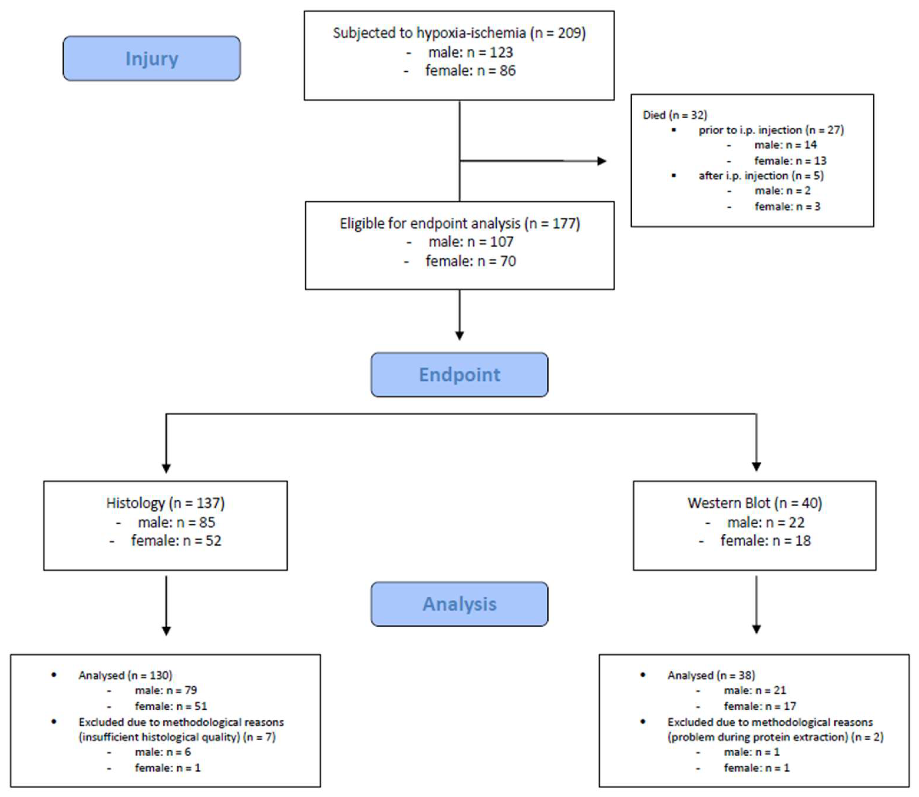 Preprints 137504 g002