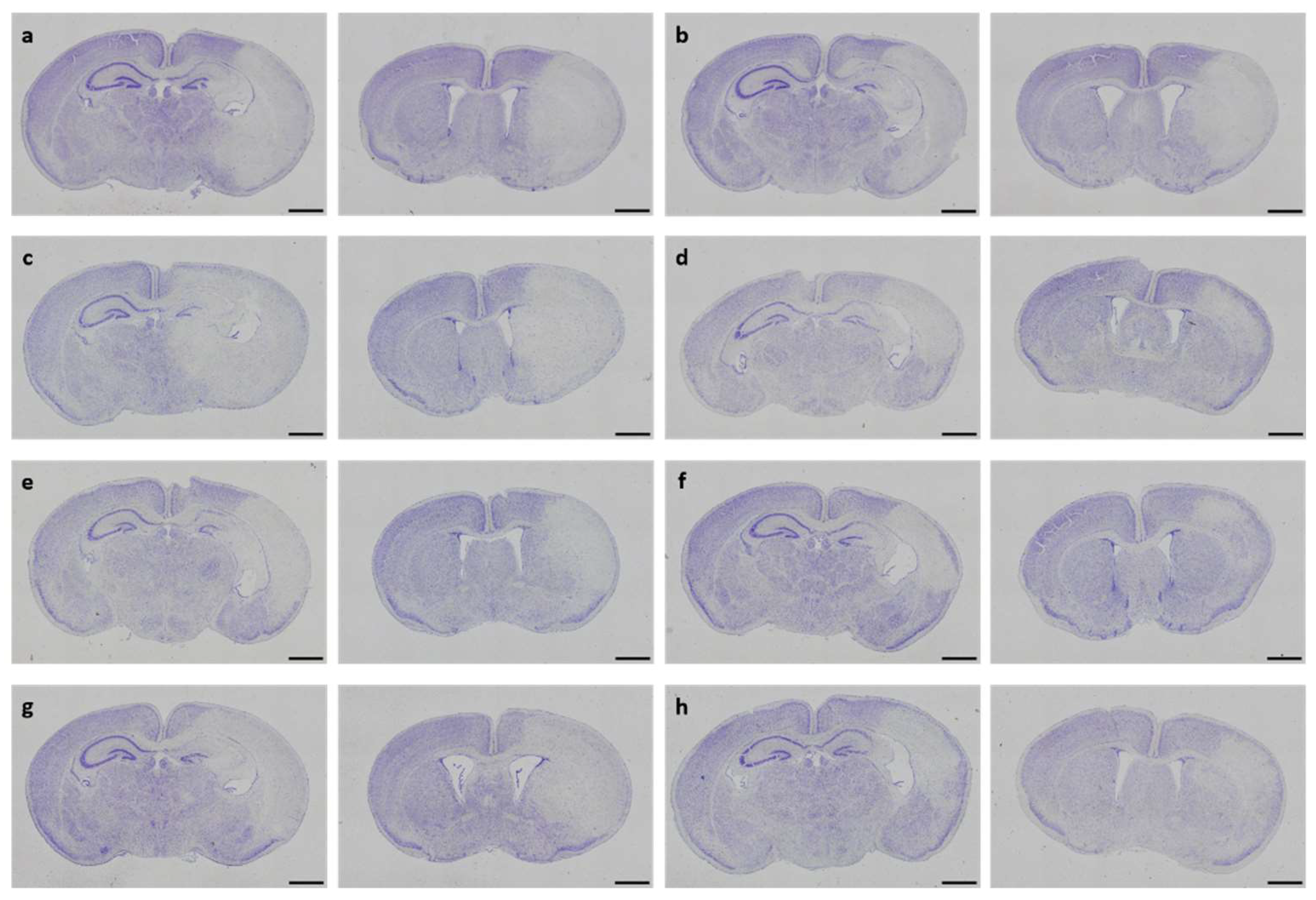 Preprints 137504 g003