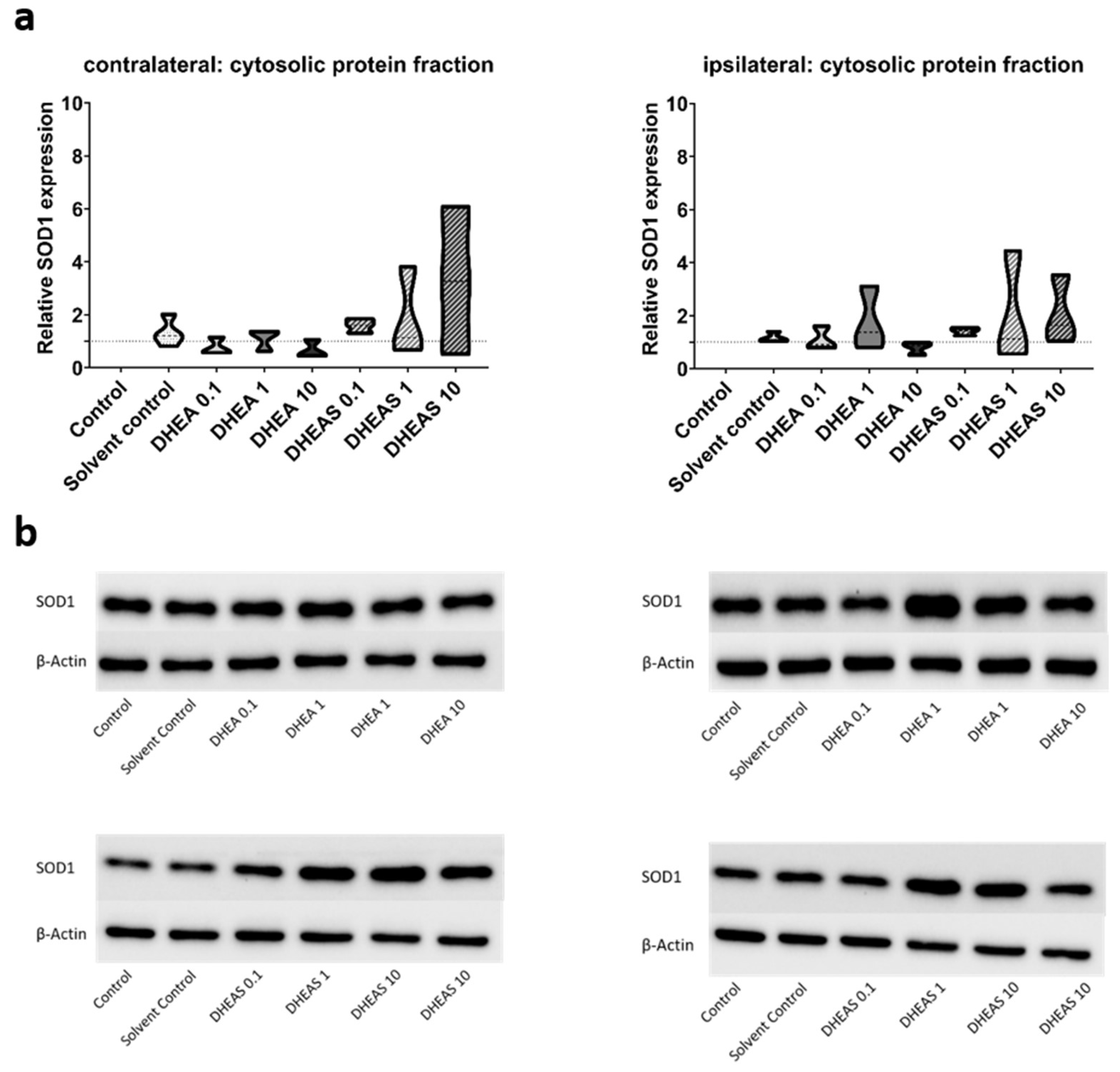 Preprints 137504 g007