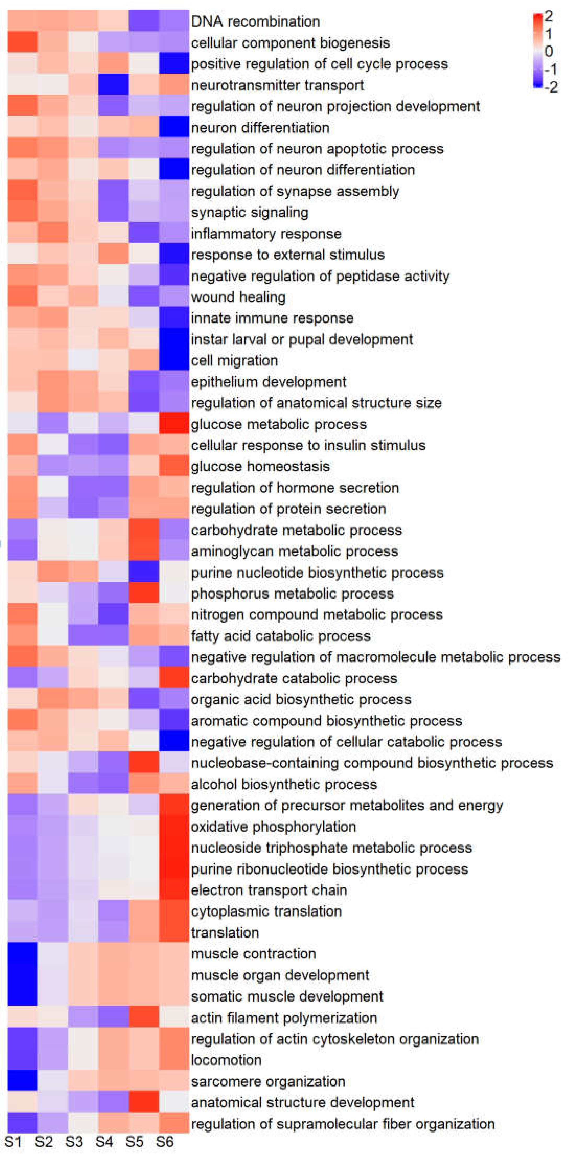 Preprints 110733 g004