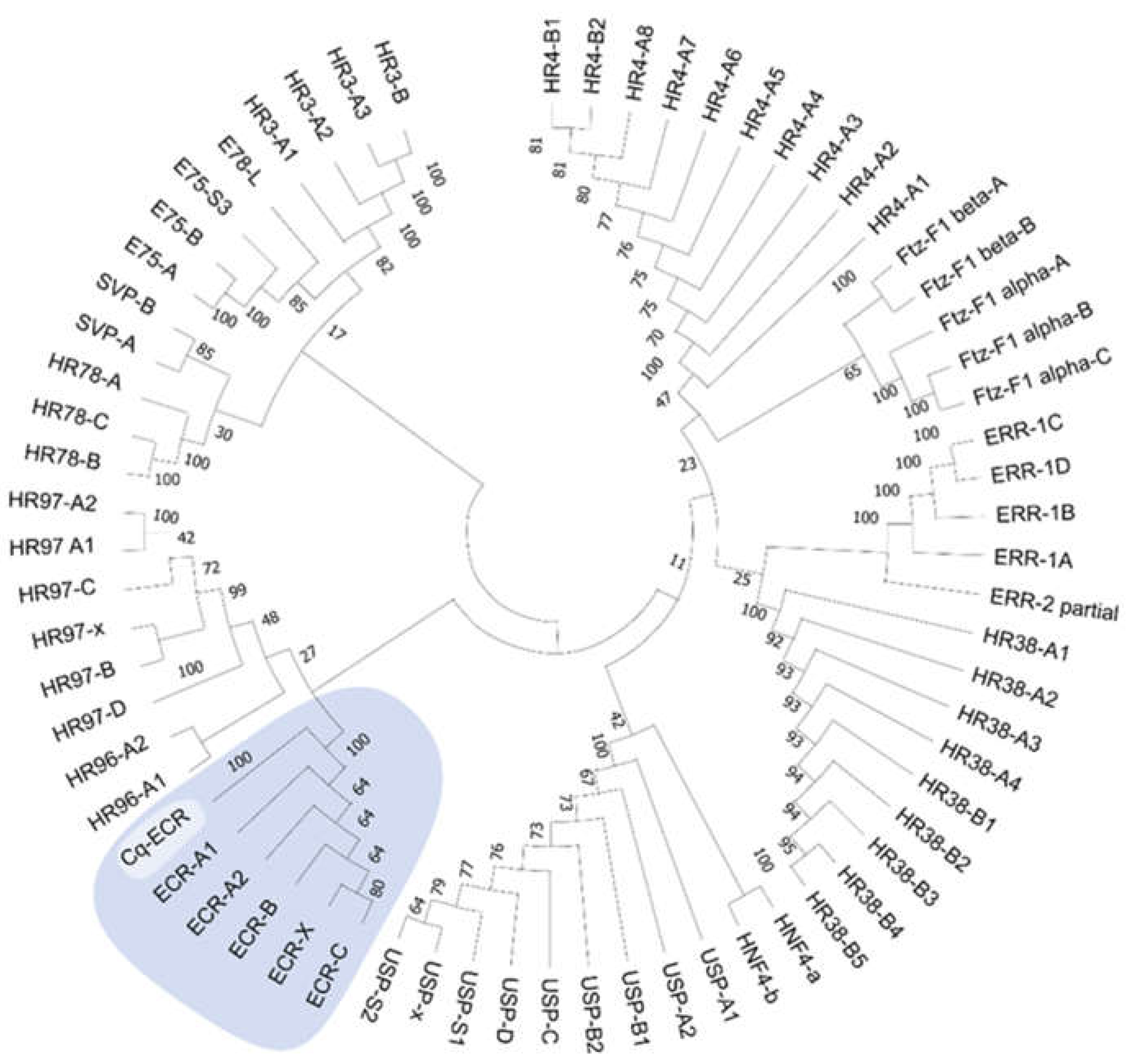 Preprints 110733 g007