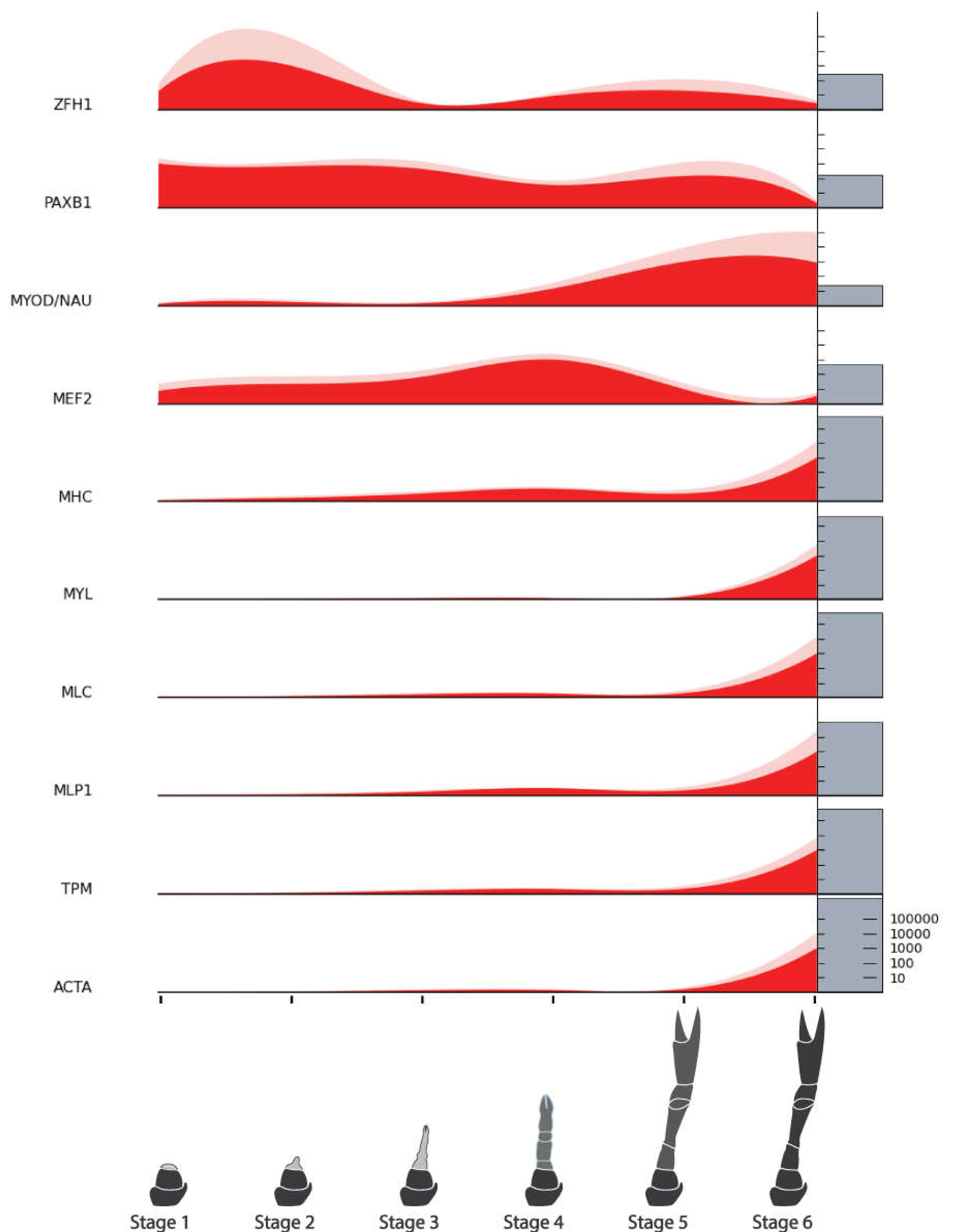 Preprints 110733 g008