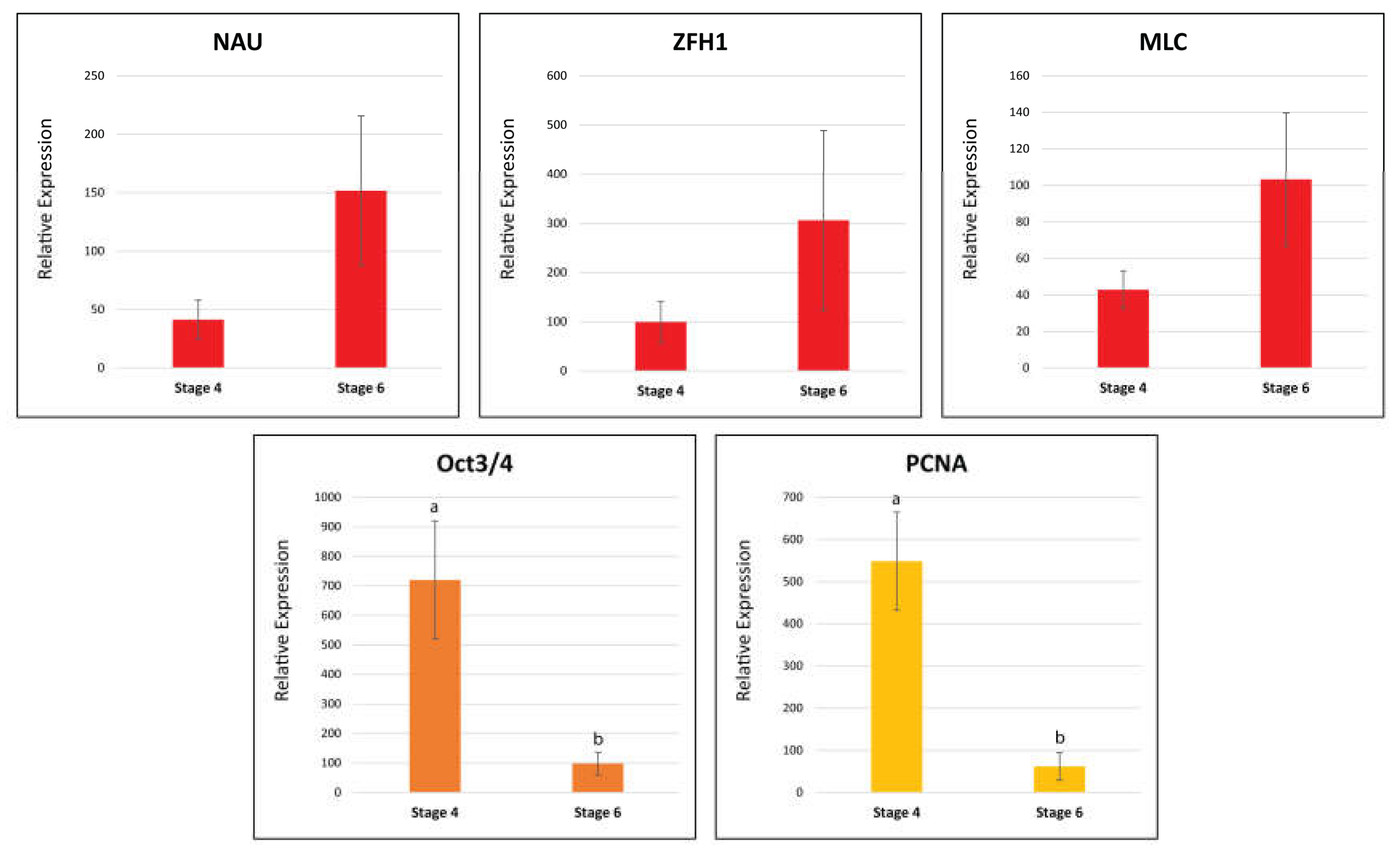 Preprints 110733 g012