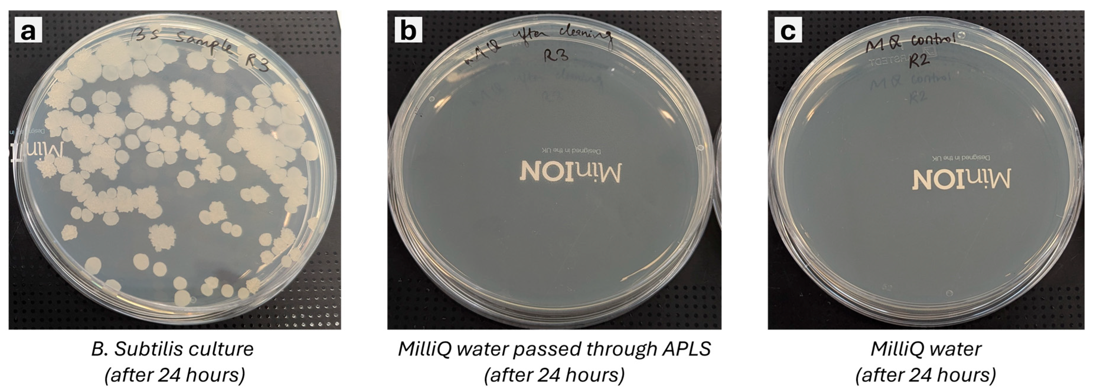 Preprints 115115 g006