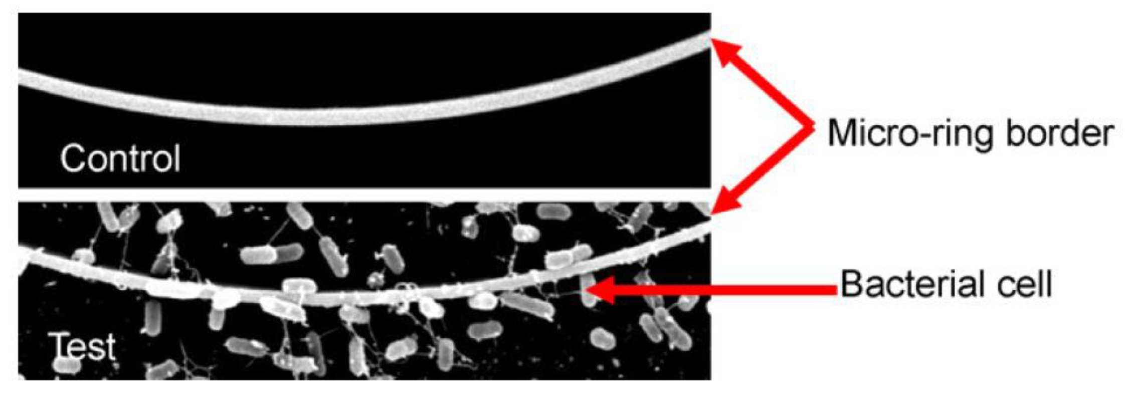 Preprints 77960 g009